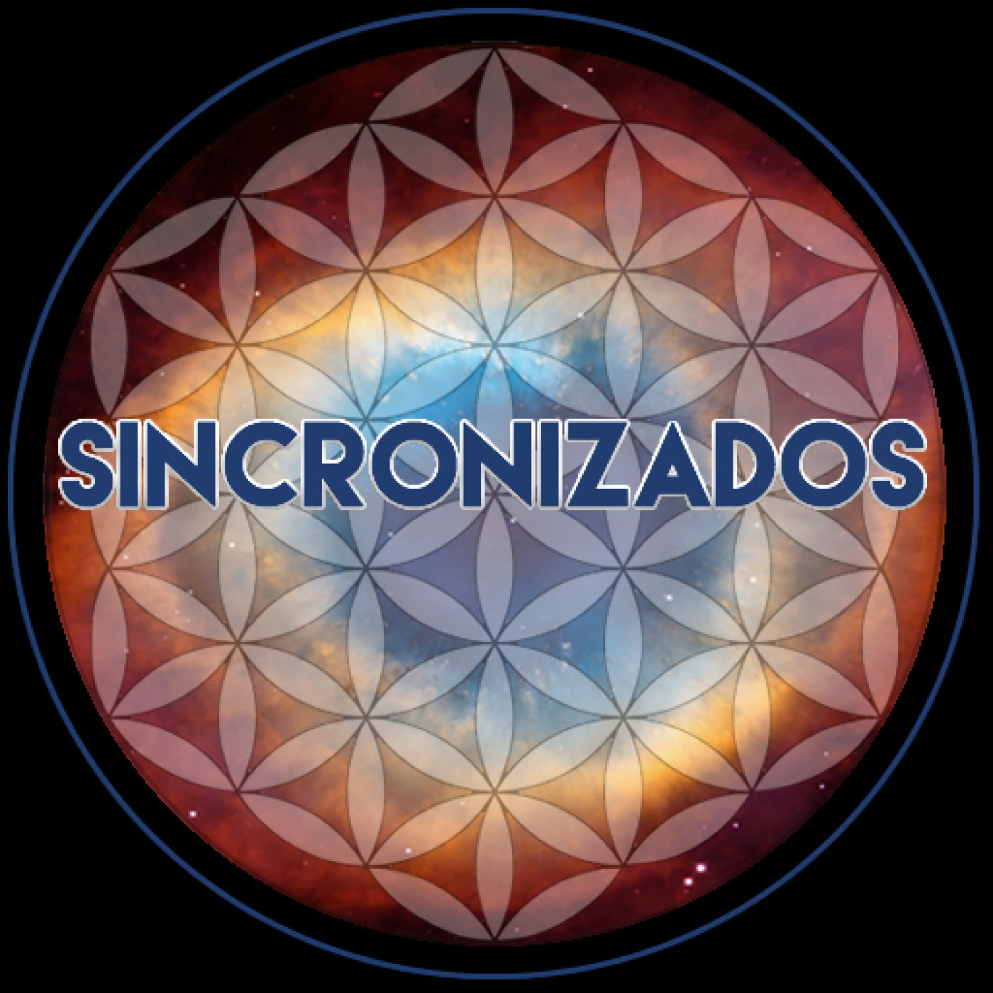 Sincronizados