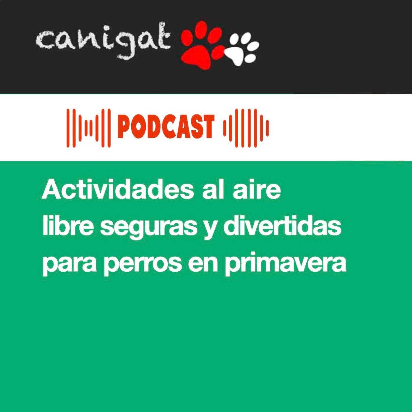 Consejos veterinarios de perros y gatos by canigat