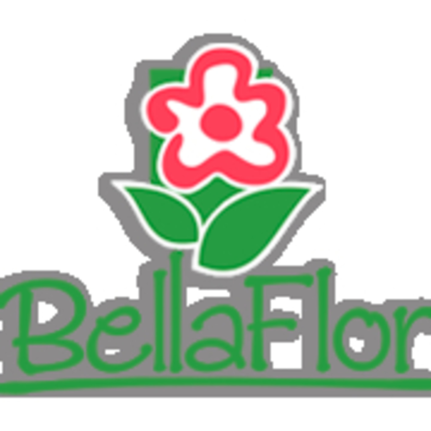 Entrevista a Pablo Costilla en Bella Flor Programa Radiofónico episode artwork