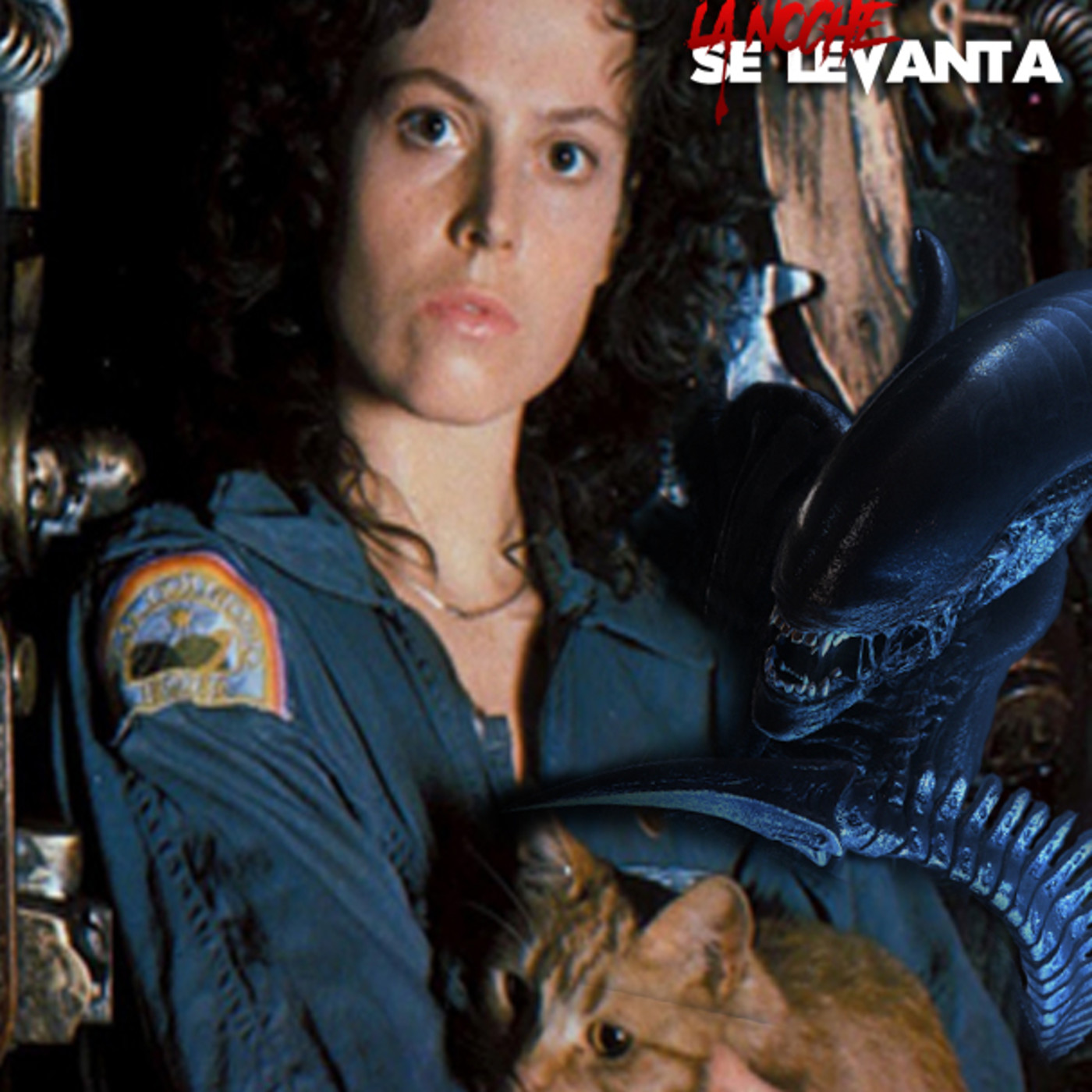 La Noche Se Levanta