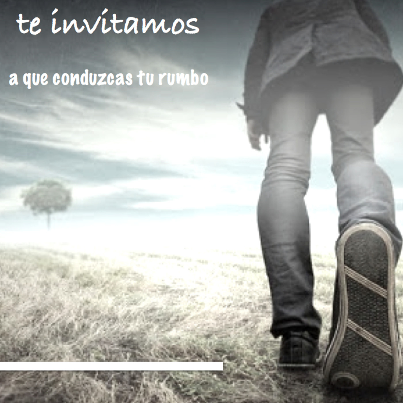 Descubre