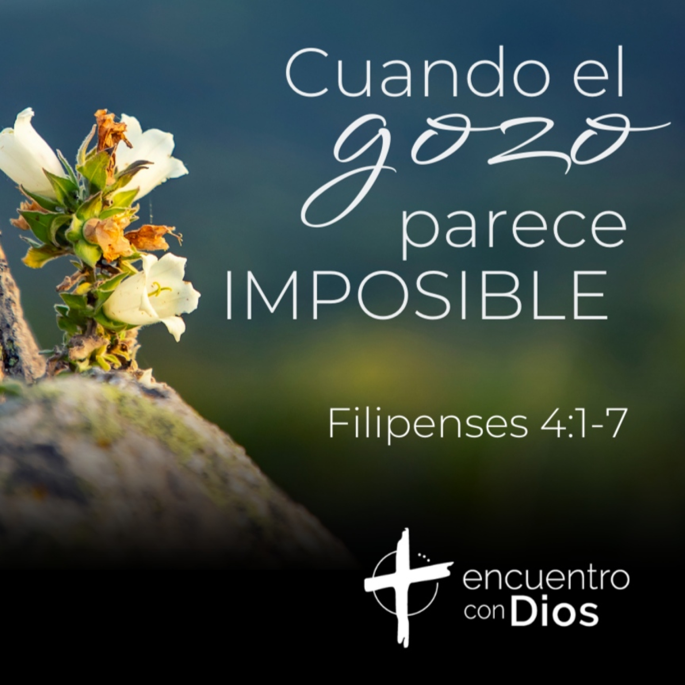 encuentro con Dios - sede Llanogrande
