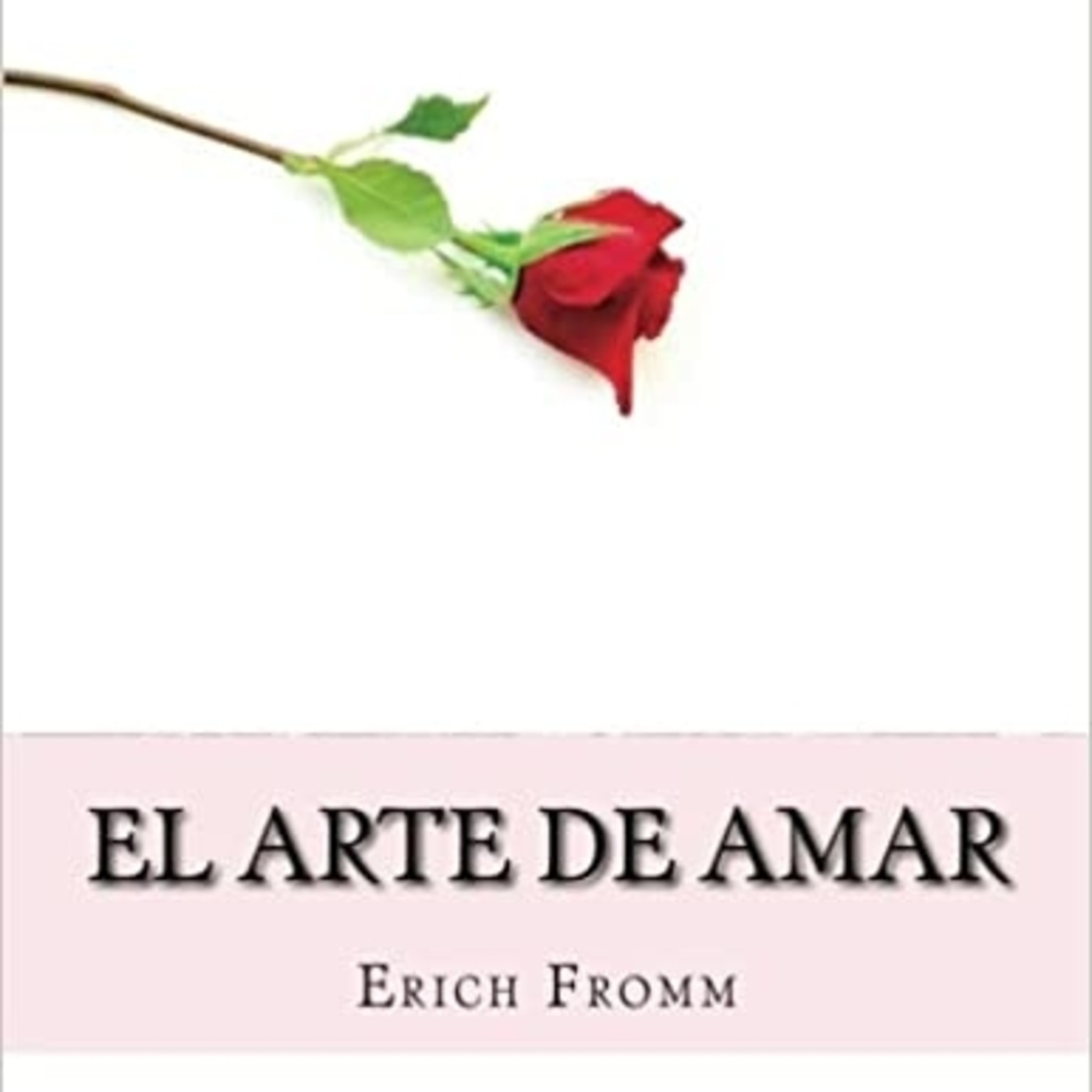 "El arte de amar", de Erich Fromm (fragmento)