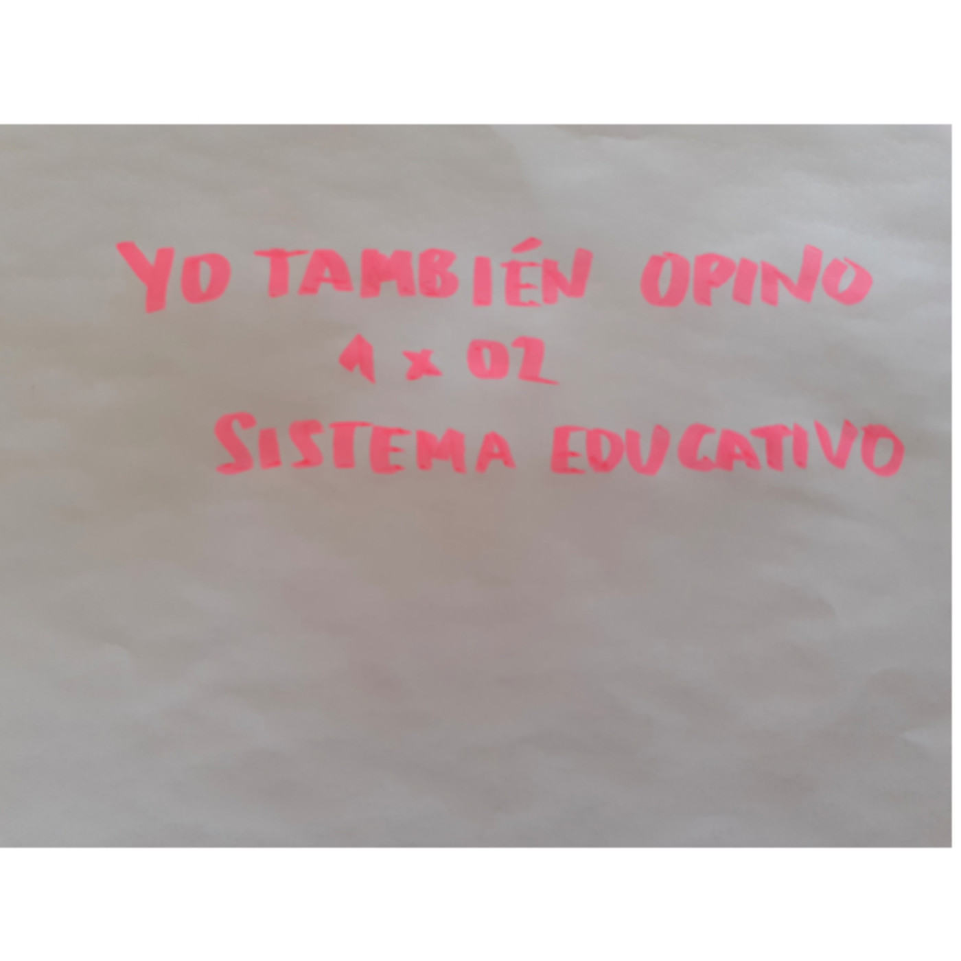 YO TAMBIÉN OPINO
