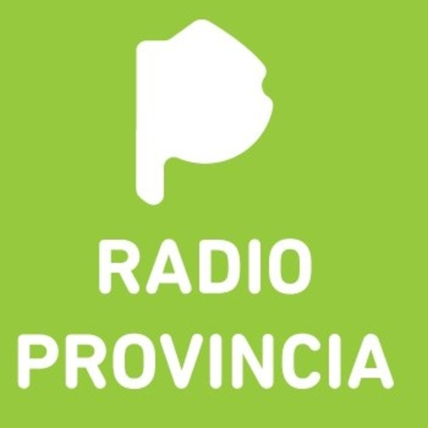 Radio Provincia 04_01_2016