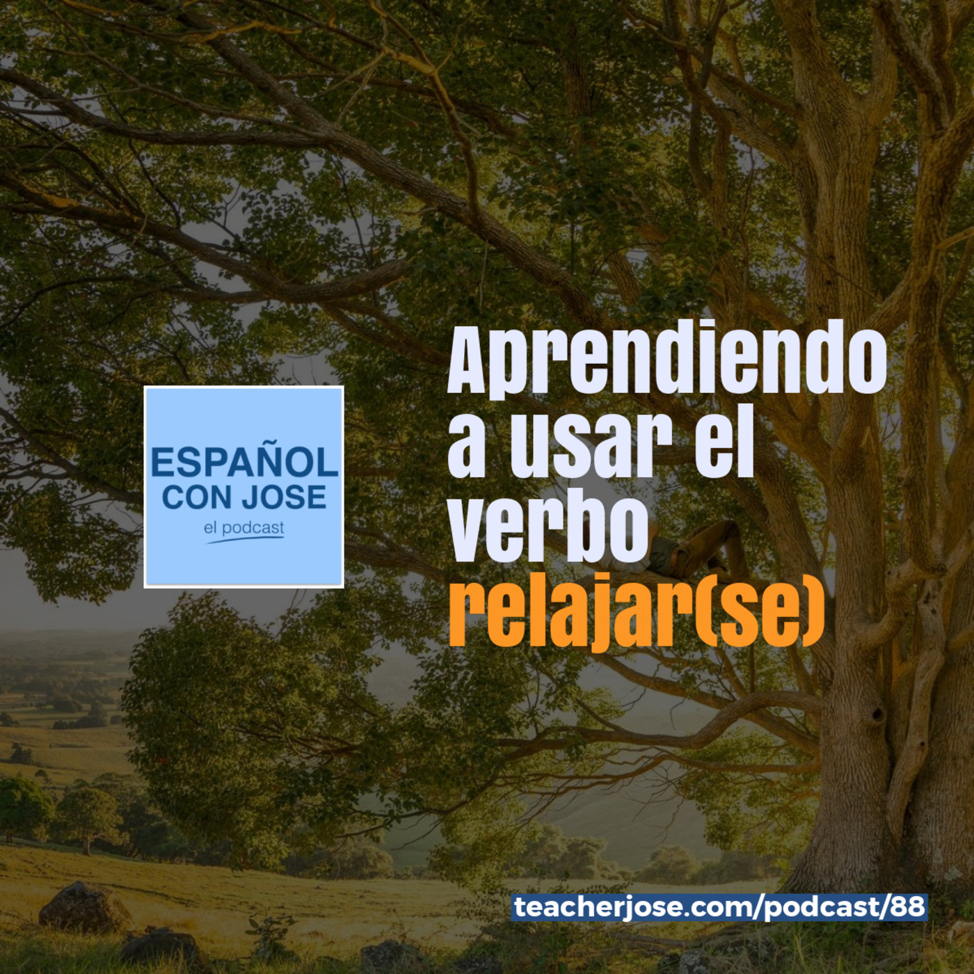 Español con Jose