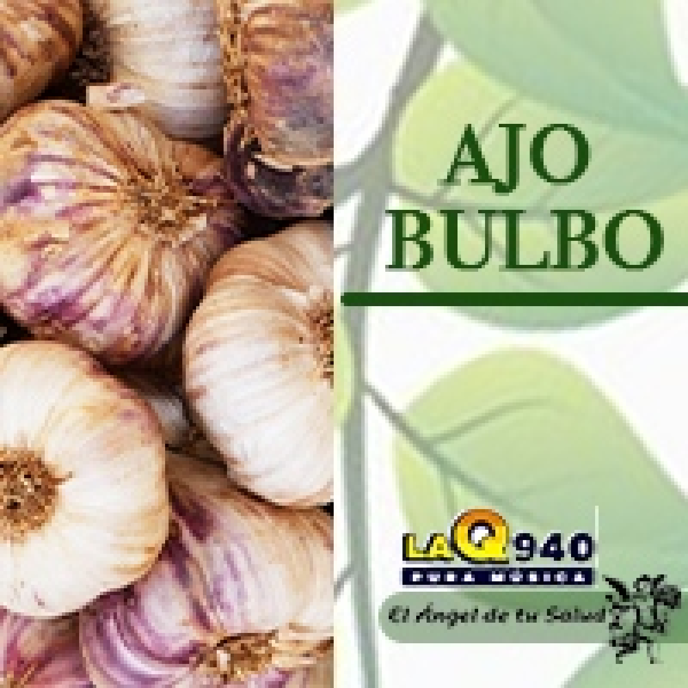 El Ángel de tu Salud - Ajo Bulbo** episode artwork