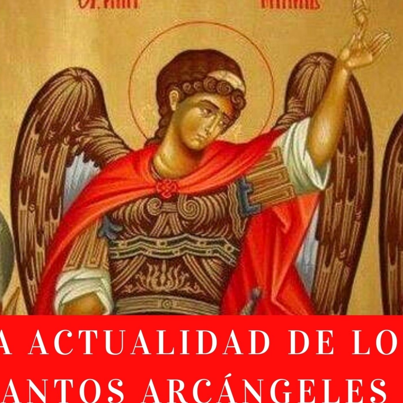 Padre Fernando Cárdenas