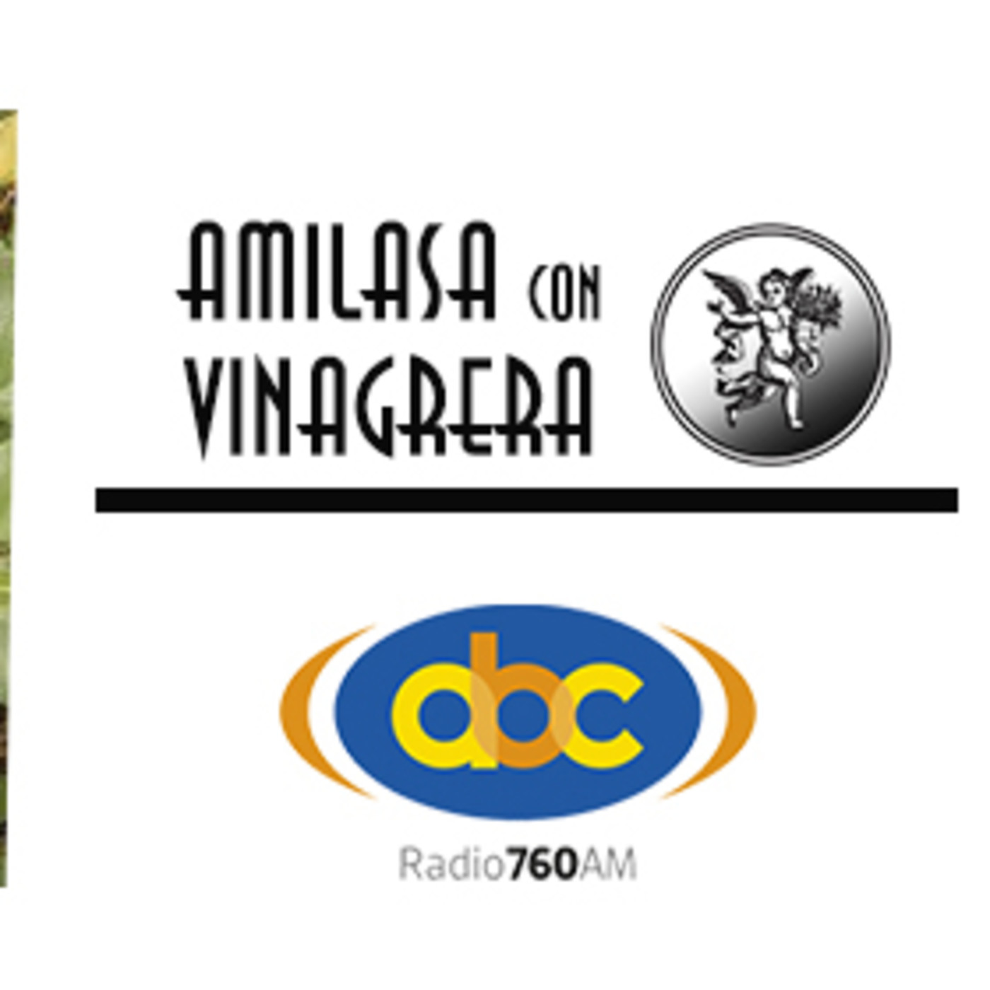 El Ángel de tu Salud - AMILASA CON VINAGRERA episode artwork