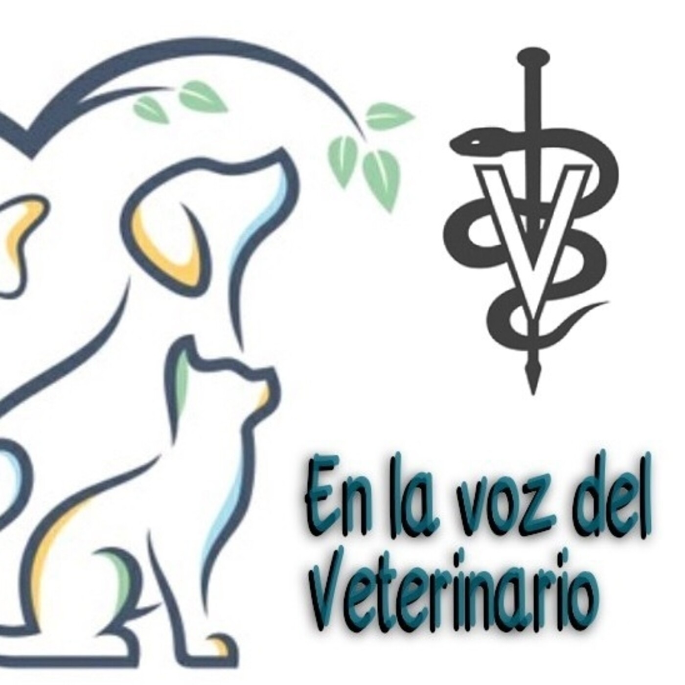 En la Voz del Veterinario 200421 p134 episode artwork