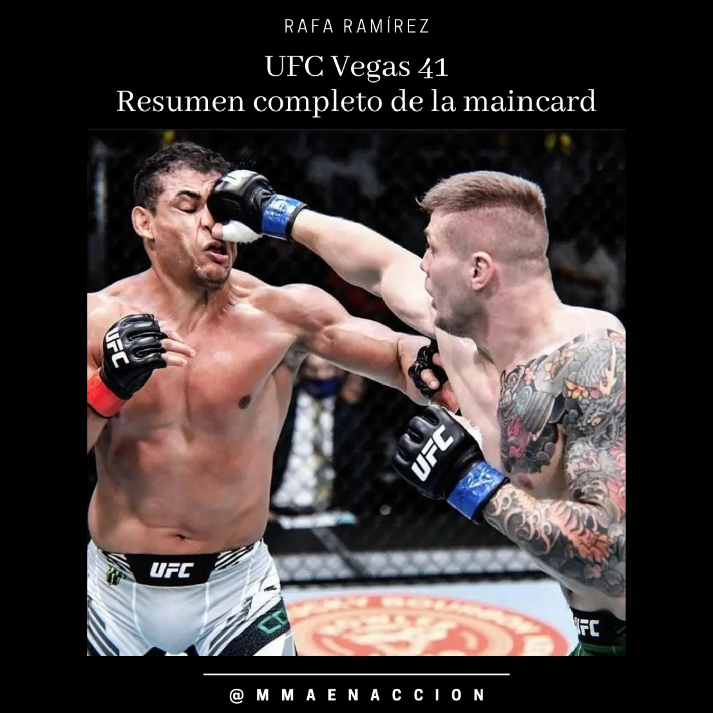 UFC Vegas 41 Costa vs Vettori - Resumen completo episode artwork