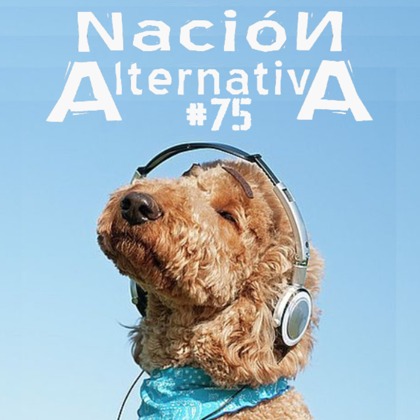 Nación Alternativa