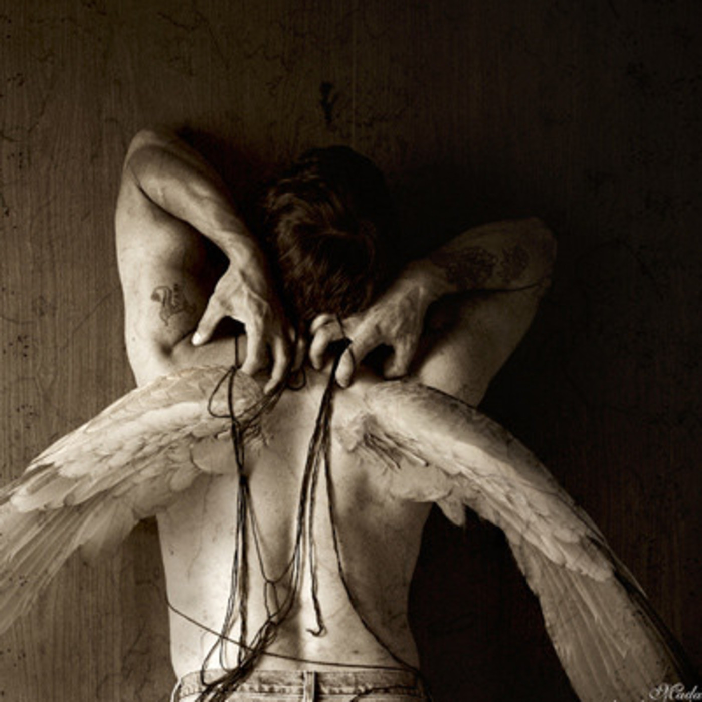 Stars Will Be Better Without Us