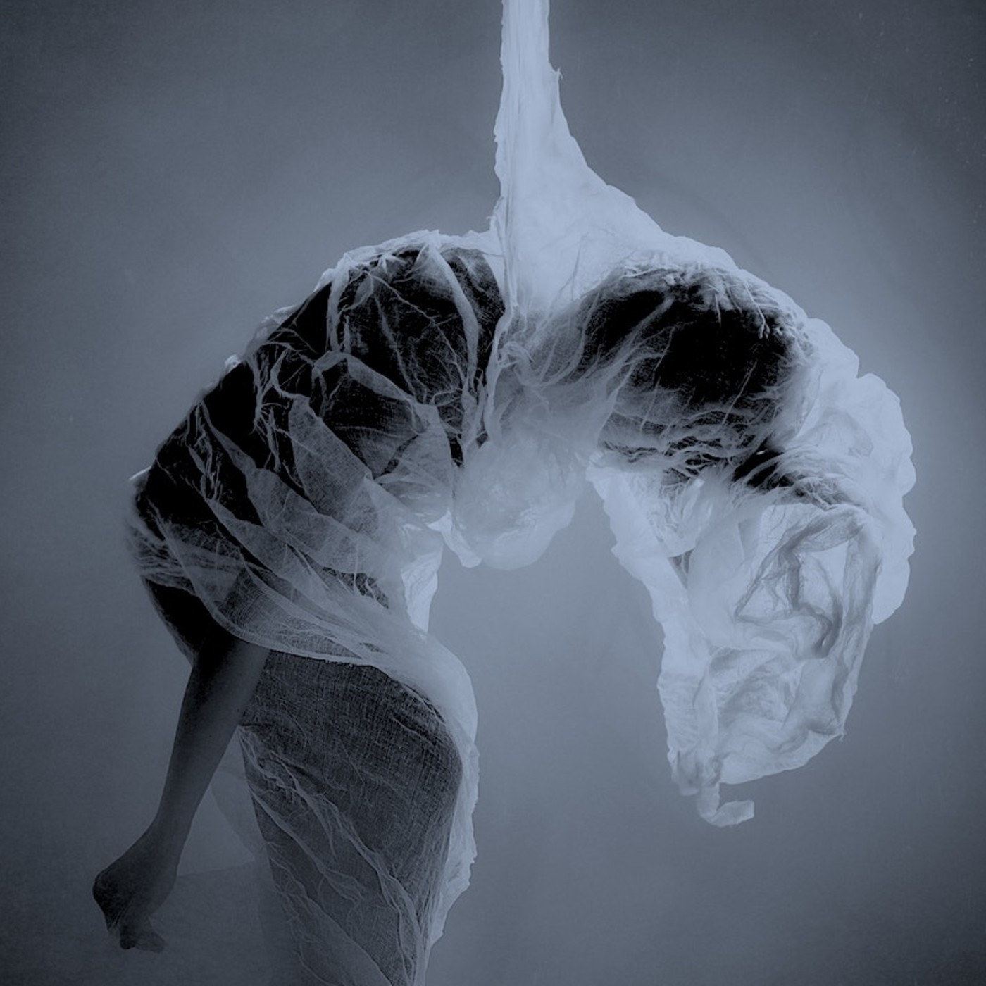 Terror En Los Bordes