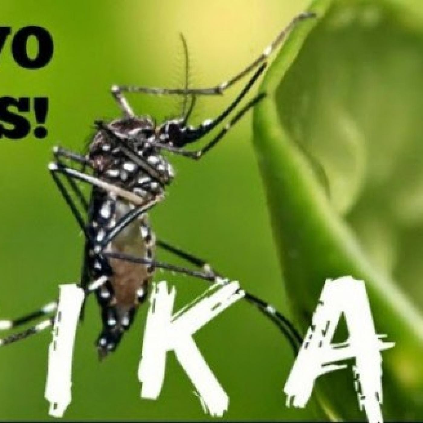 TEMA Virus del zika