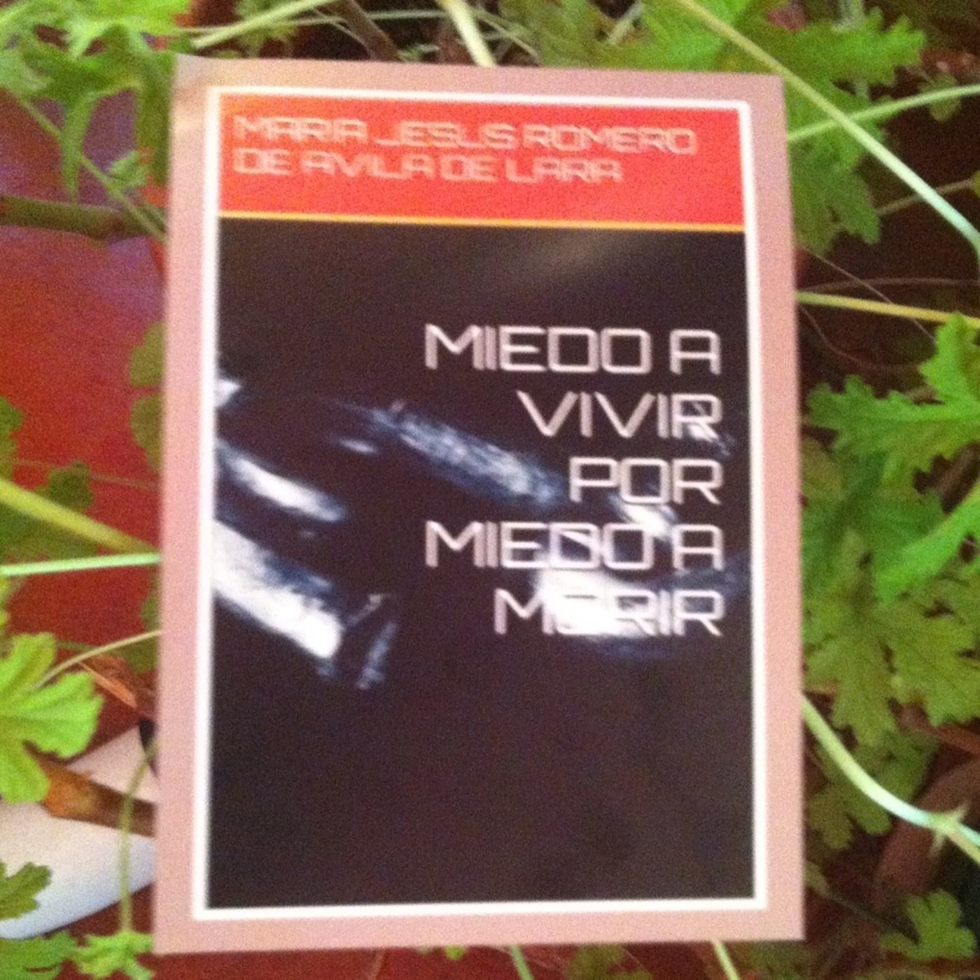 NOVELA MIEDO A VIVIR POR MIEDO A MORIR CAPITULO ONCE episode artwork
