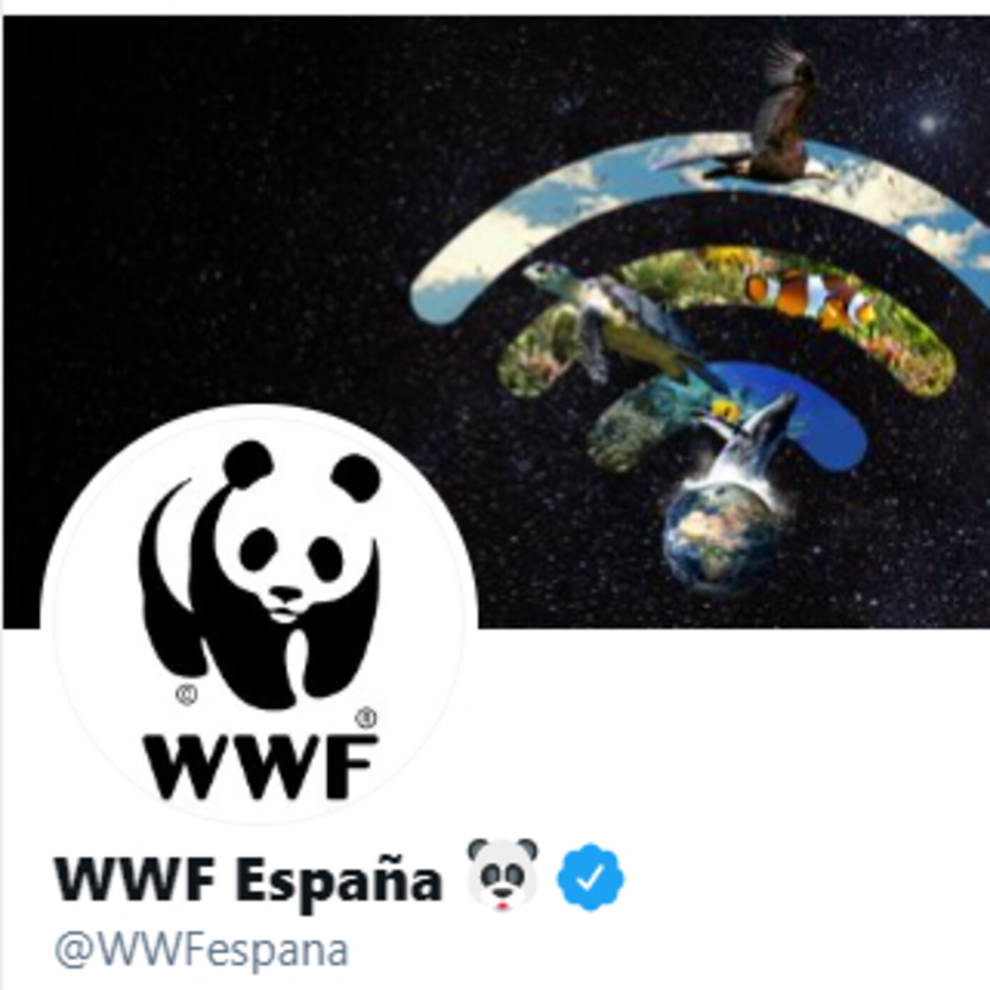 Programa 206 - Grupo WWF Valencia - Ecologia Sostenible episode artwork