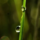 Exploración consciente del cuerpo