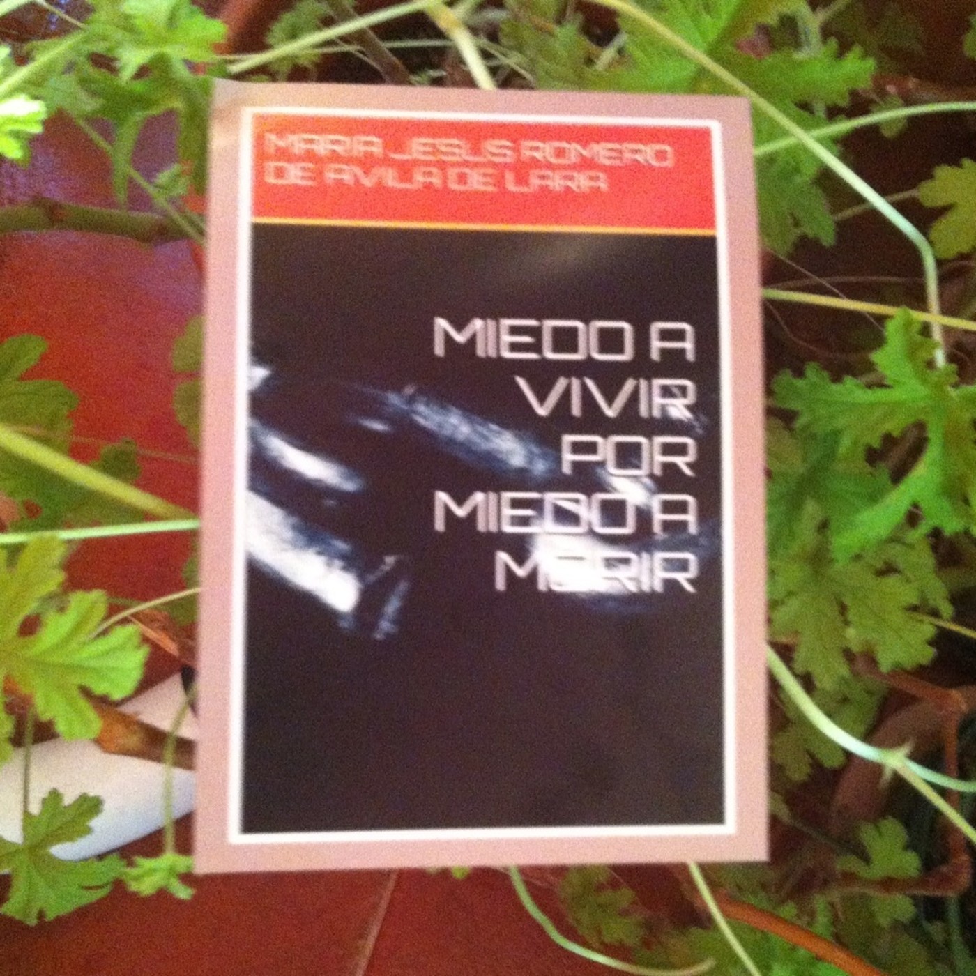NOVELA MIEDO A VIVIR POR MIEDO A MORIR CAPITULO TRECE episode artwork