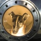 62 años de la perrita LaiKa