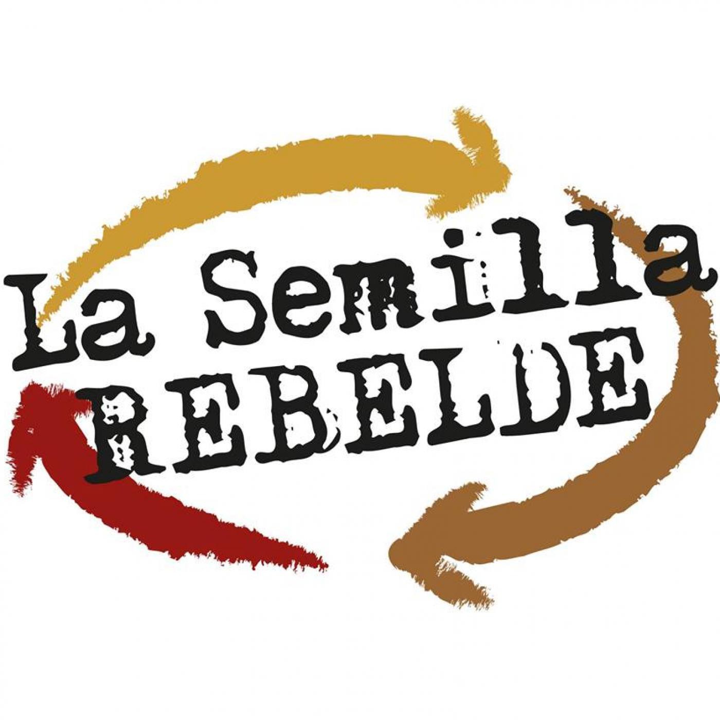 Entrevista al Dr. Alejandro Lanaro, Director del Hospital de Capilla del Monte episode artwork