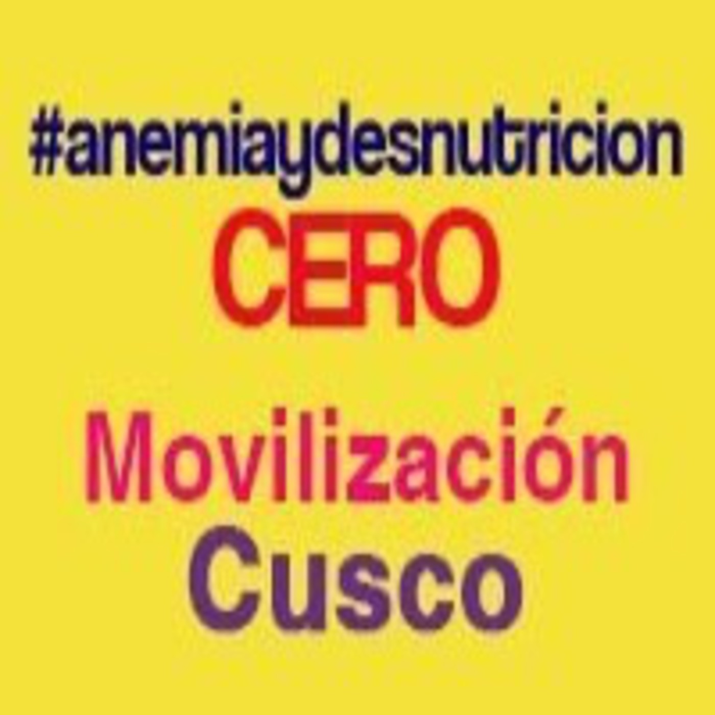 Movilización Regional Anemia y desnutrición CERO