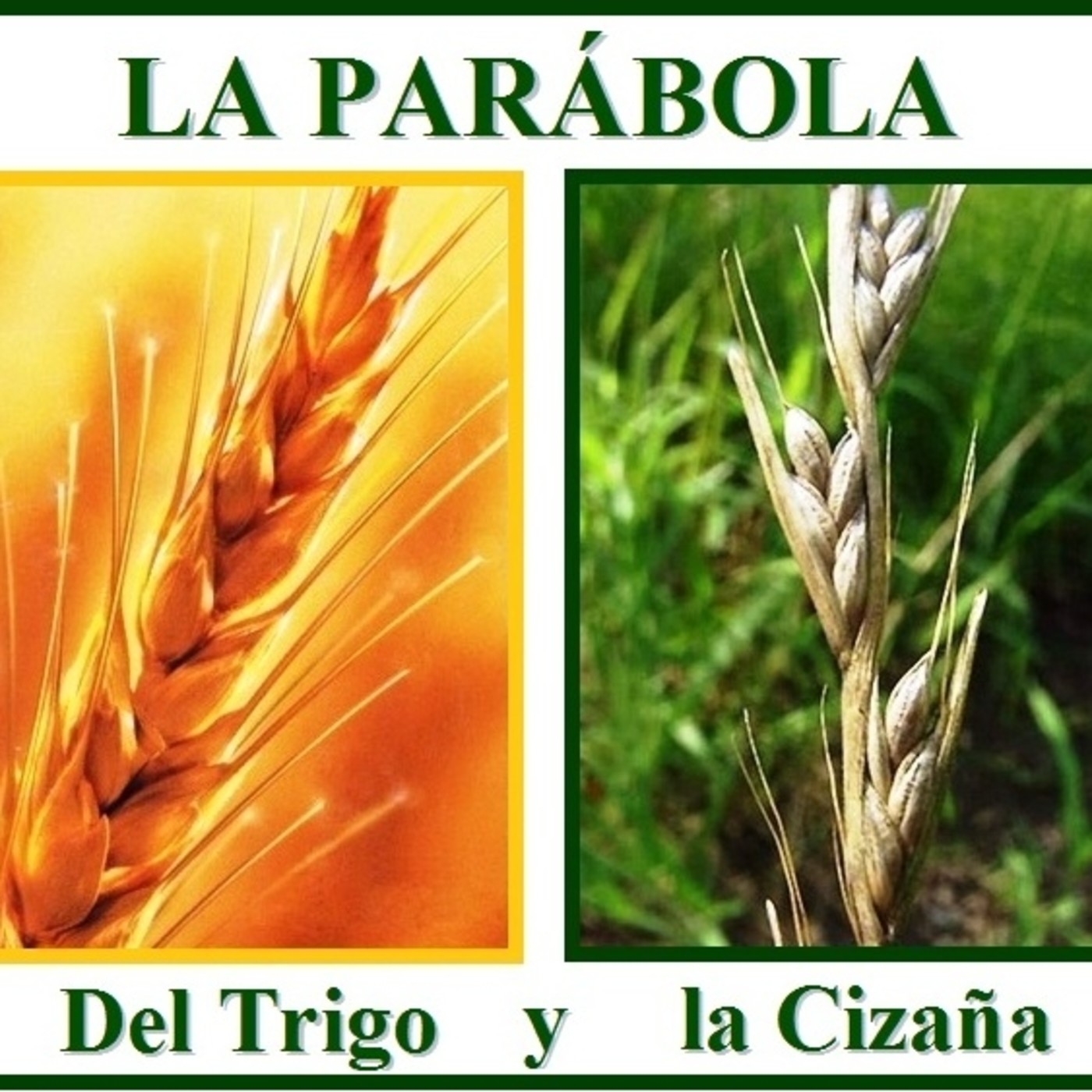 Podcast de Daniel Molina