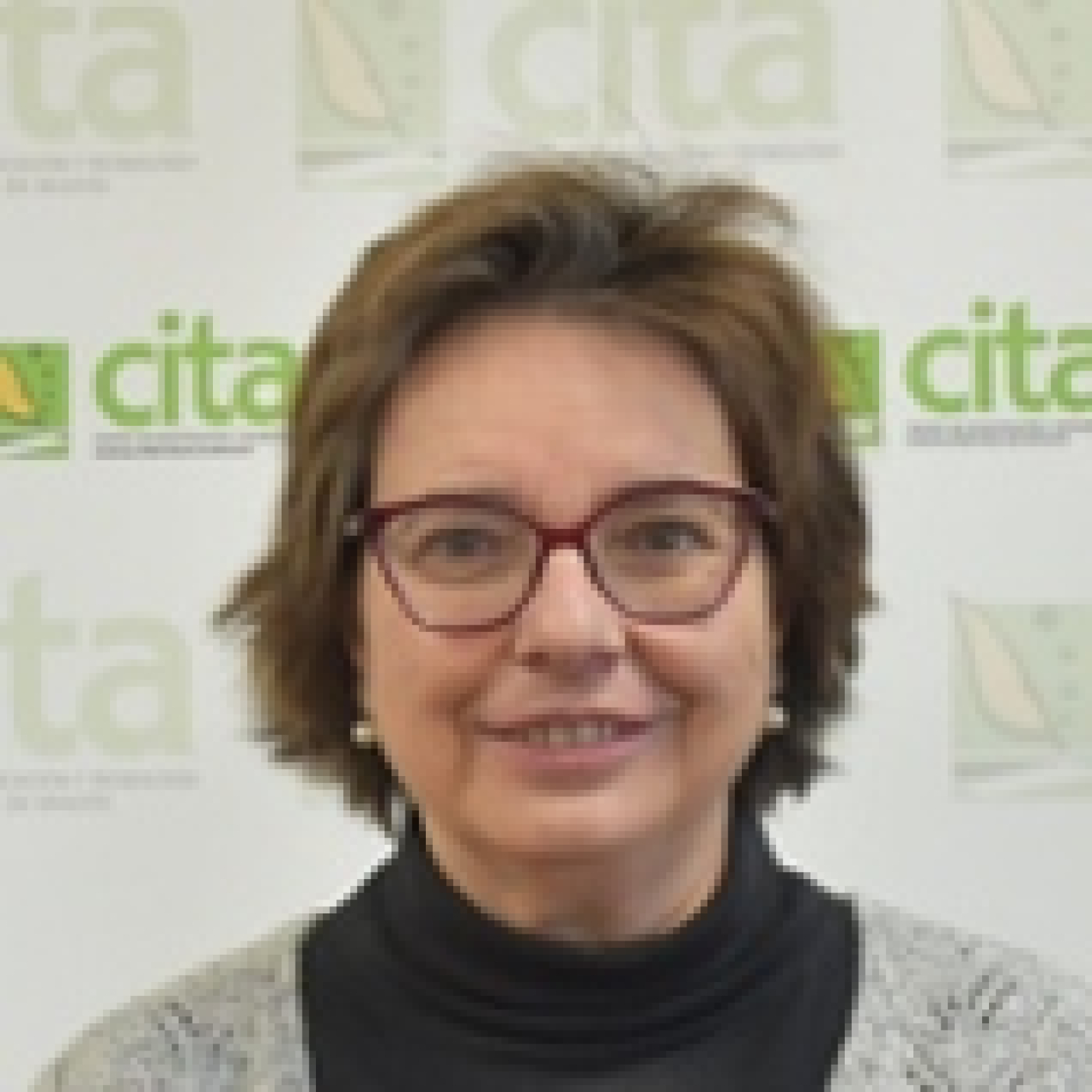 CITA de Aragón: Apariciones en radio