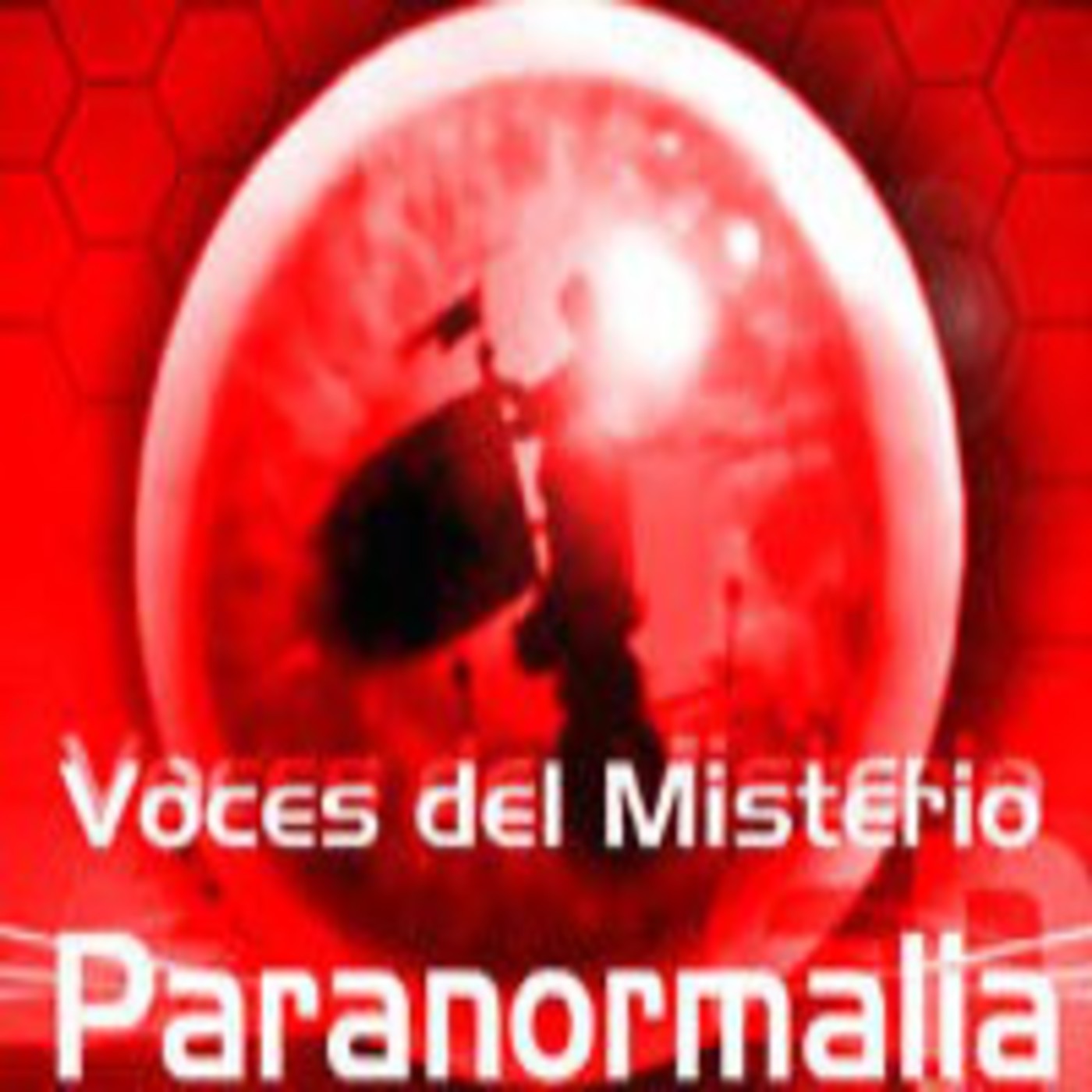 Voces del Misterio Nº 377 - Especial 09 de Verano - 'Misterios de la Historia y la Arqueología" con Luis Mariano Fdez. episode artwork
