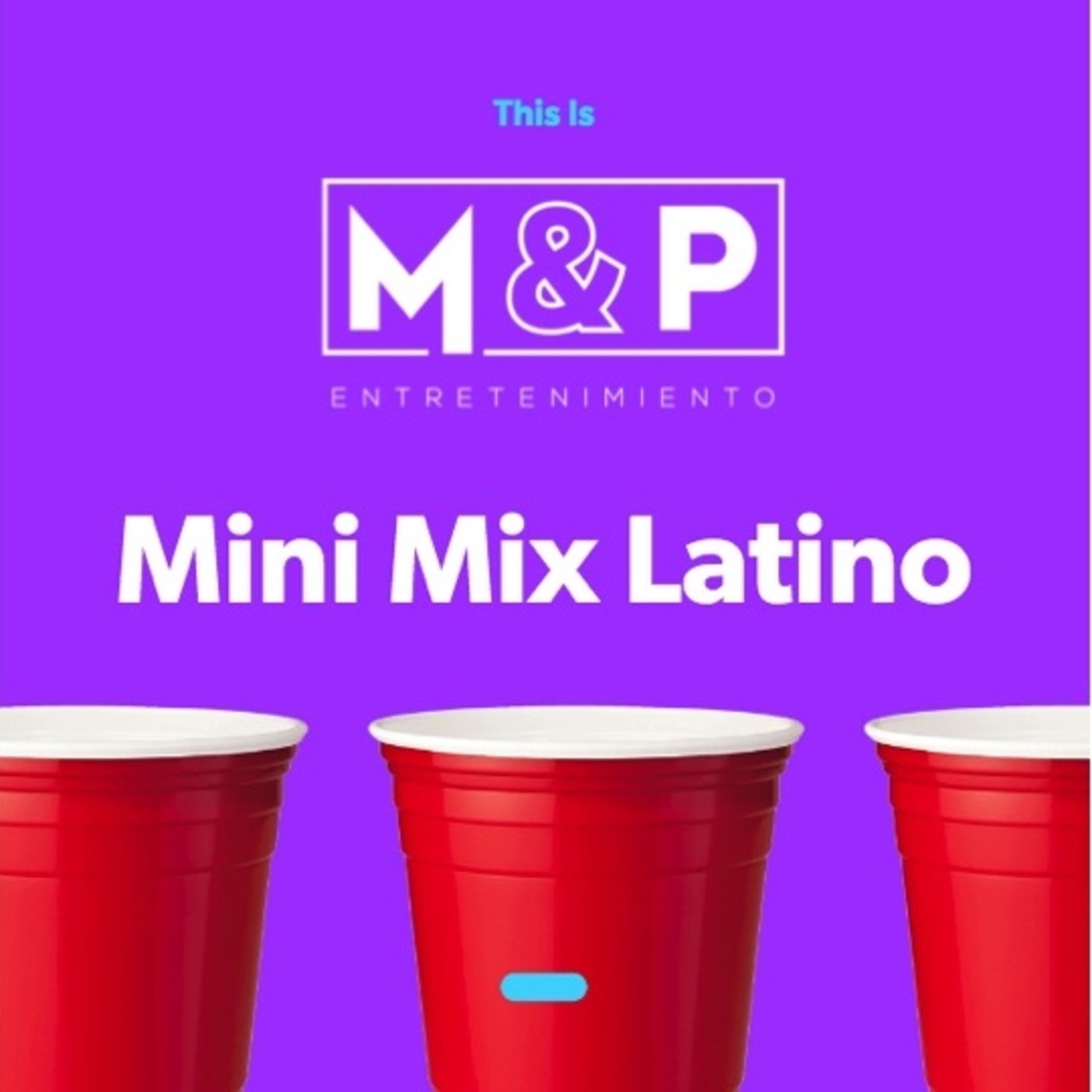 Boda Tepotzotlan Minimix