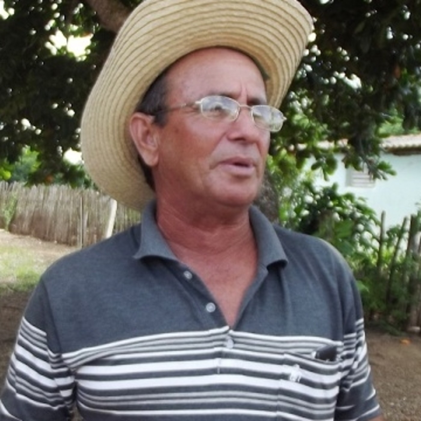Mi voluntad, mi Constitución