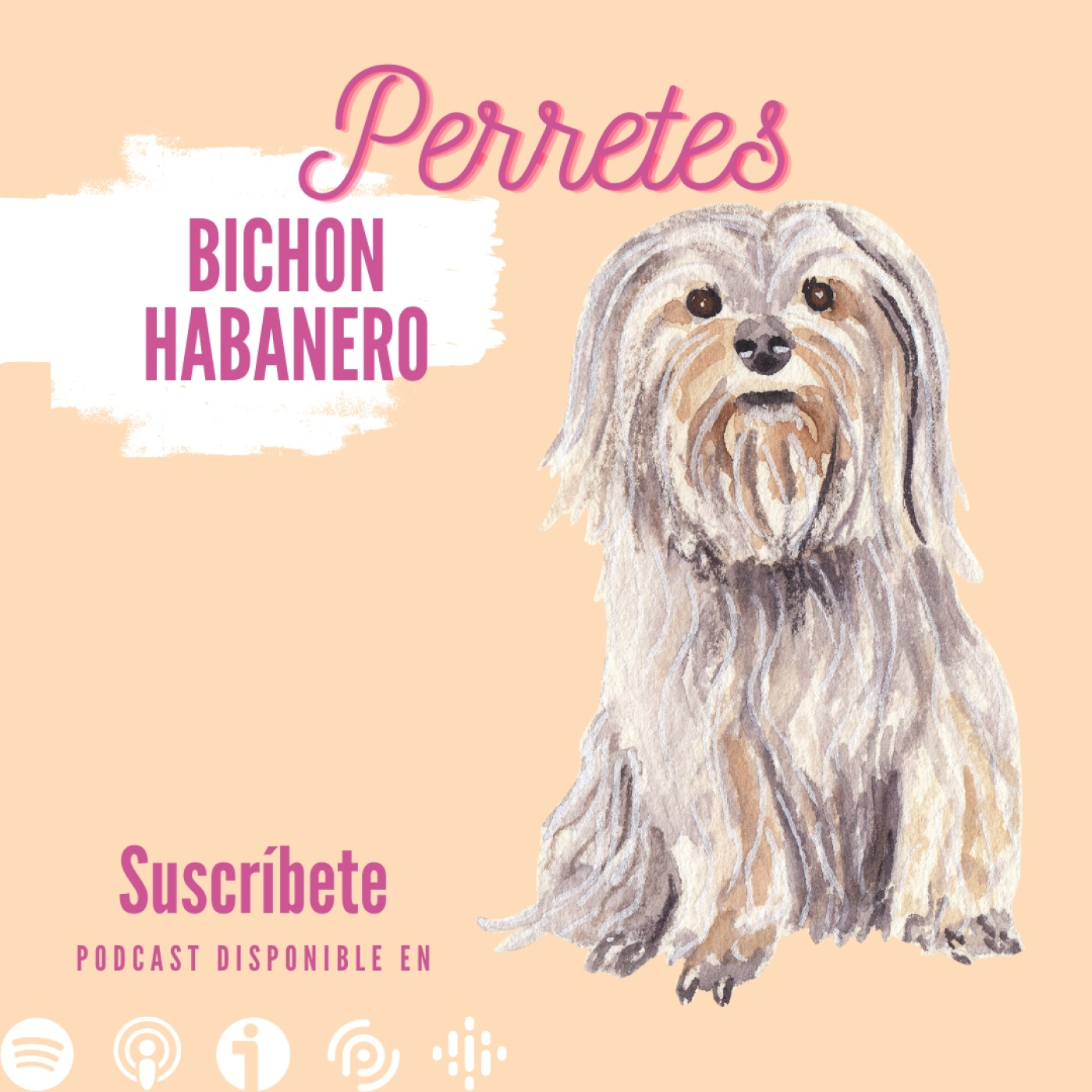 Perretes | Las razas de perros