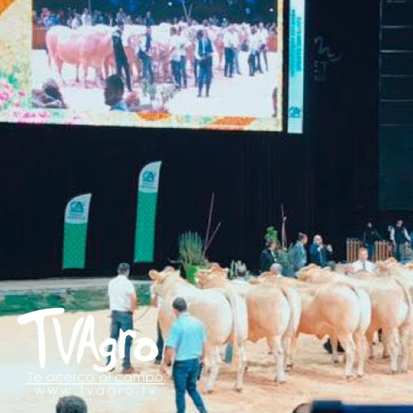 TV AGRO