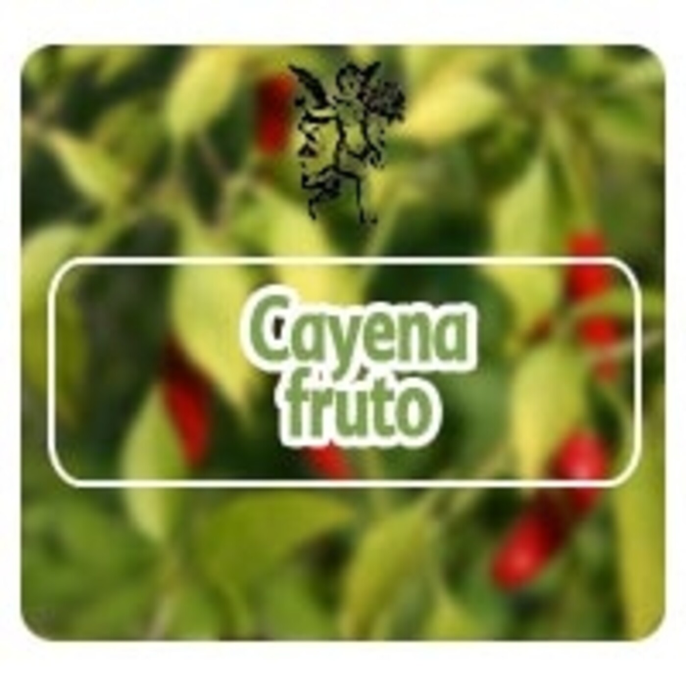 El Angel de tu Salud - CAYENA**
