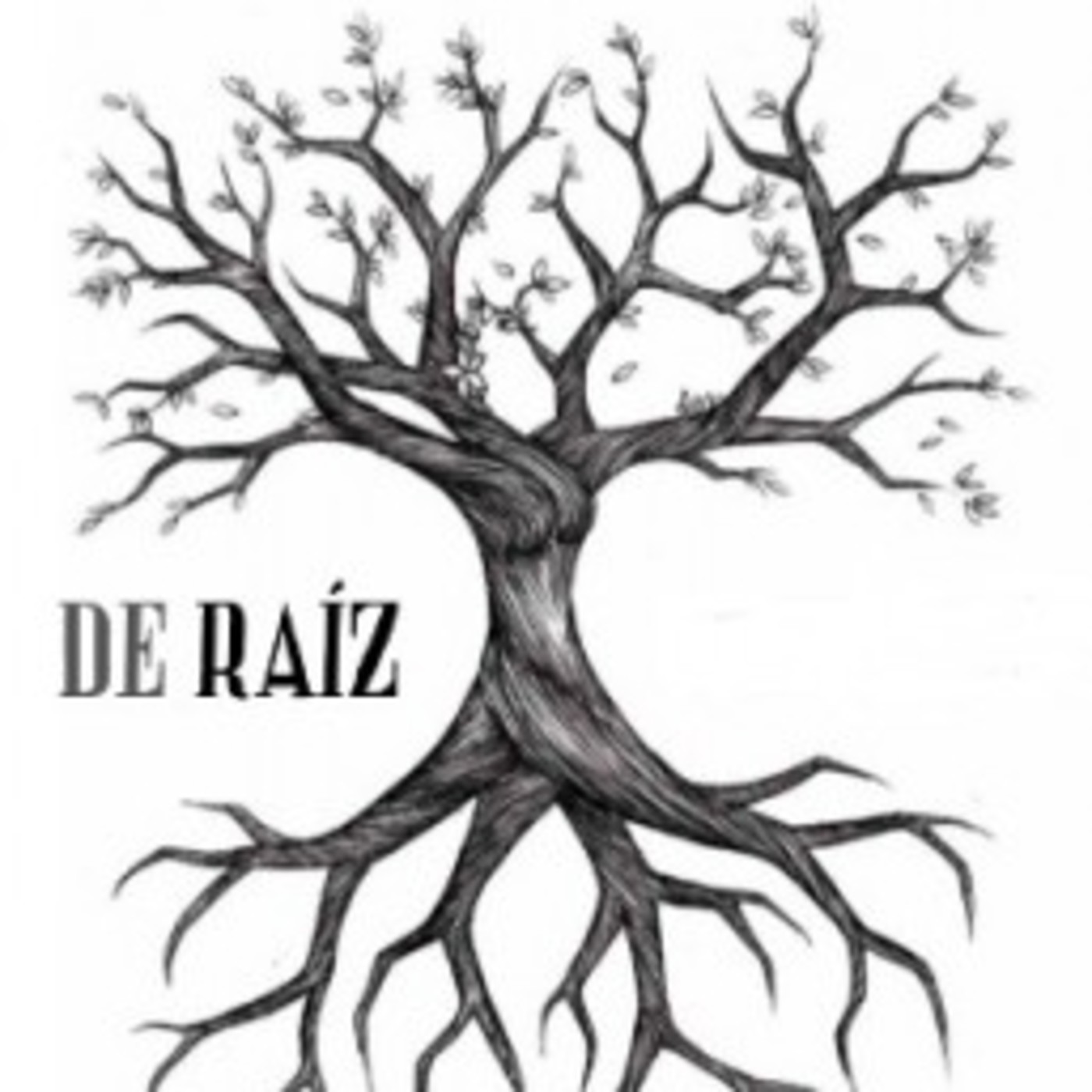 De Raíz Radio