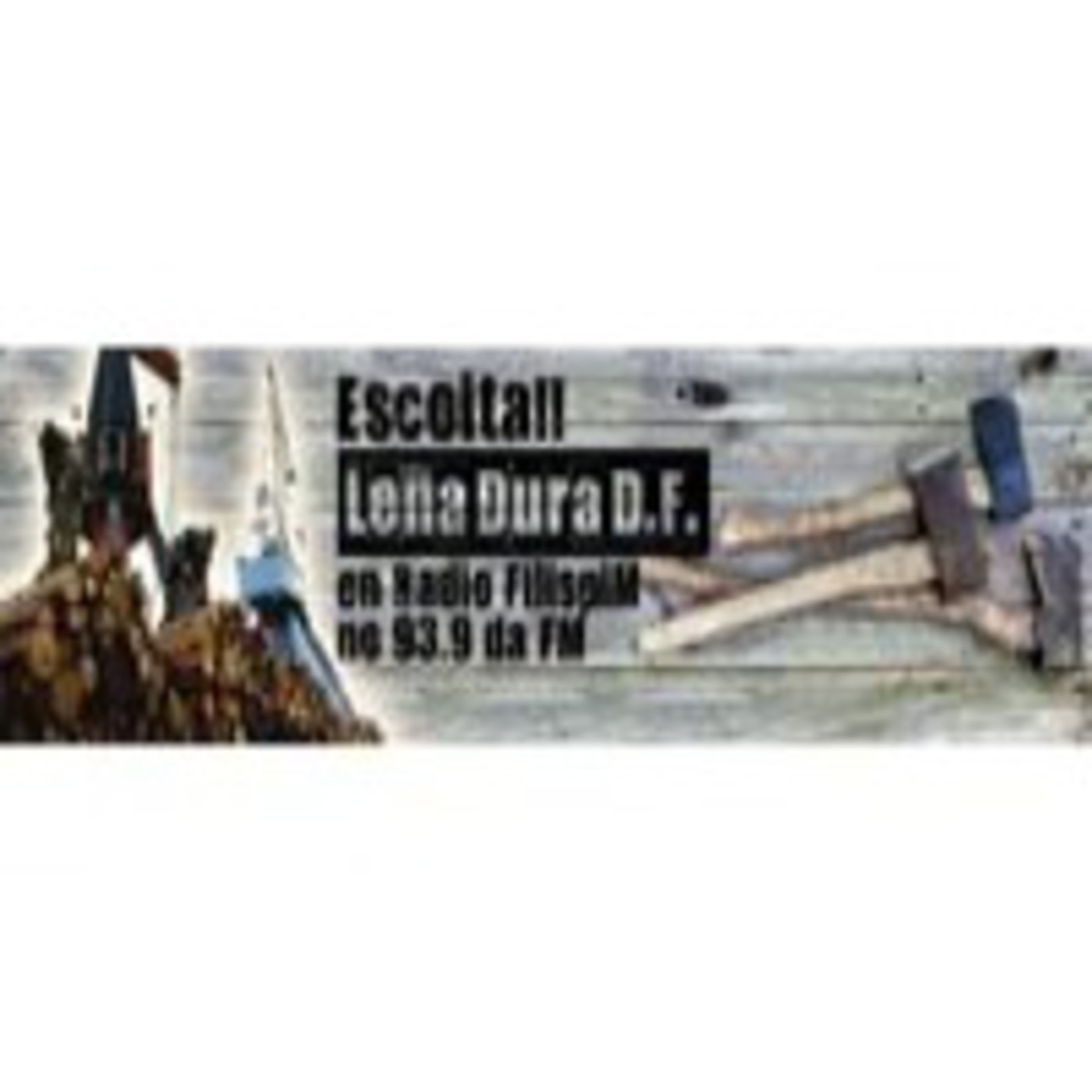 Leña Dura 21P2T