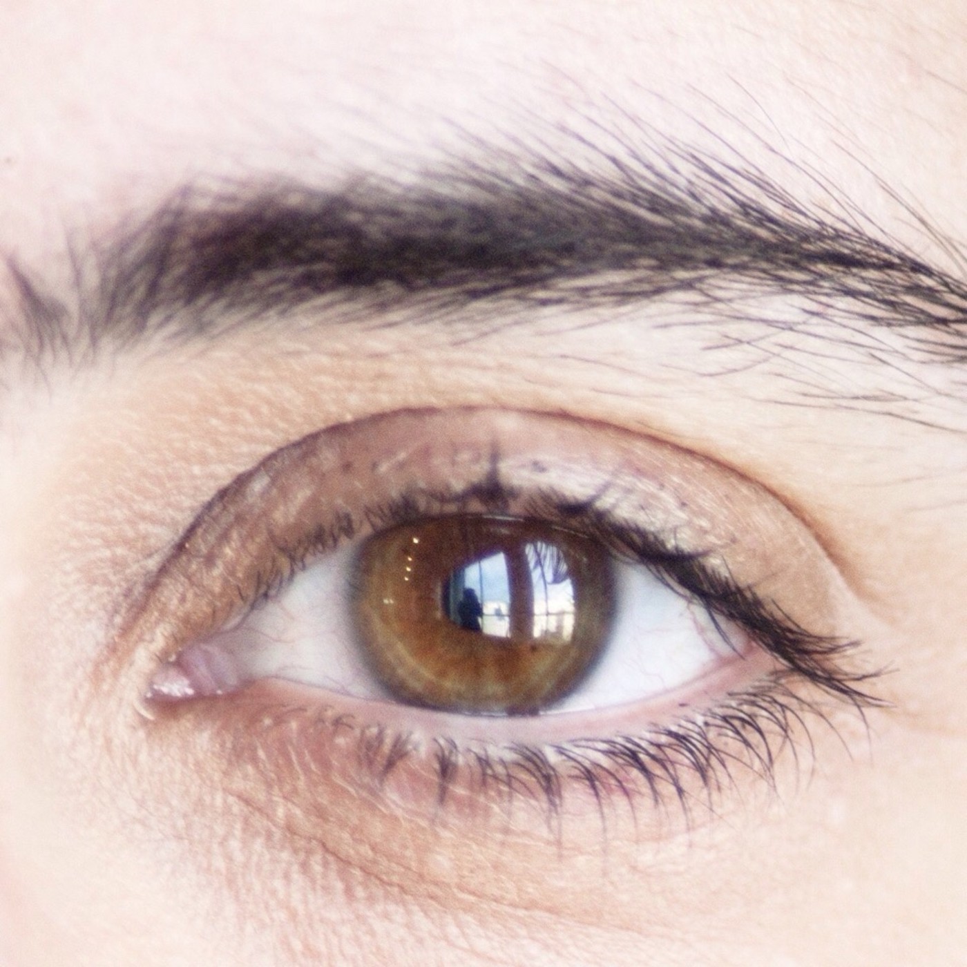 Ojo de Pez