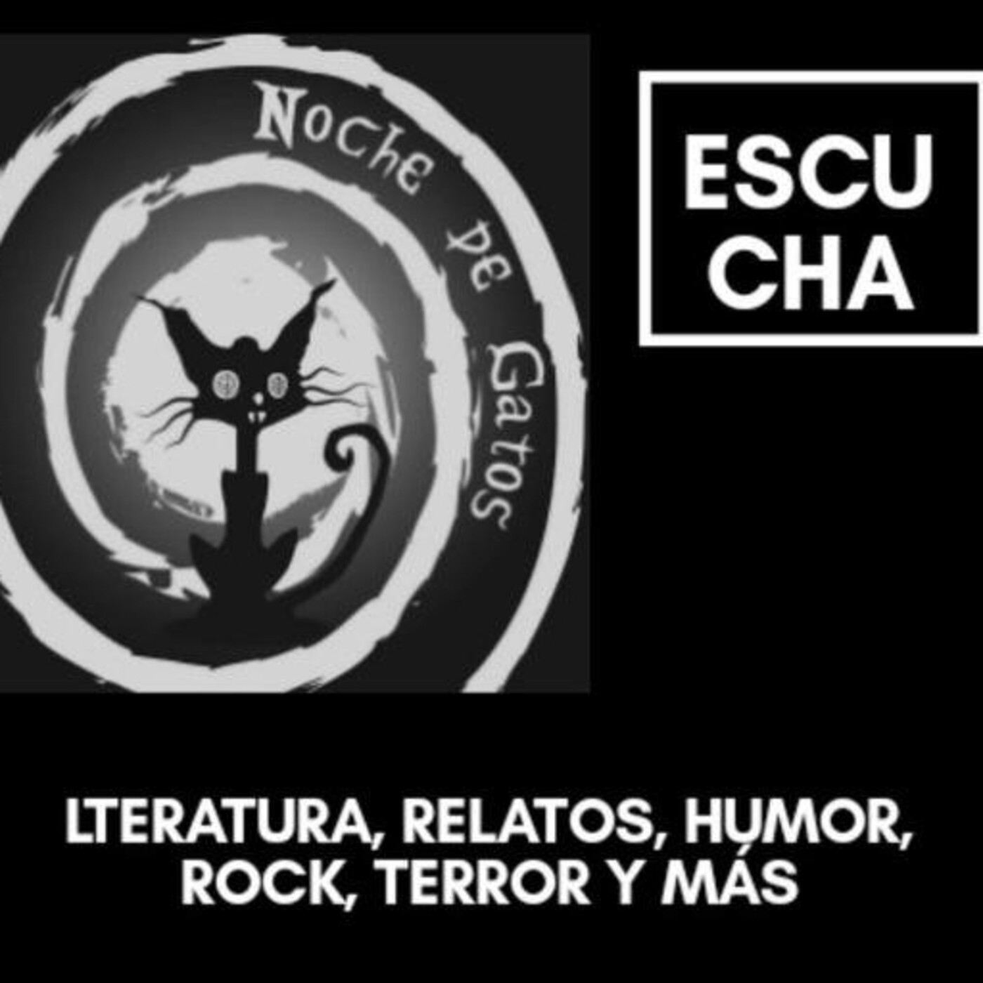 Noche de Gatos