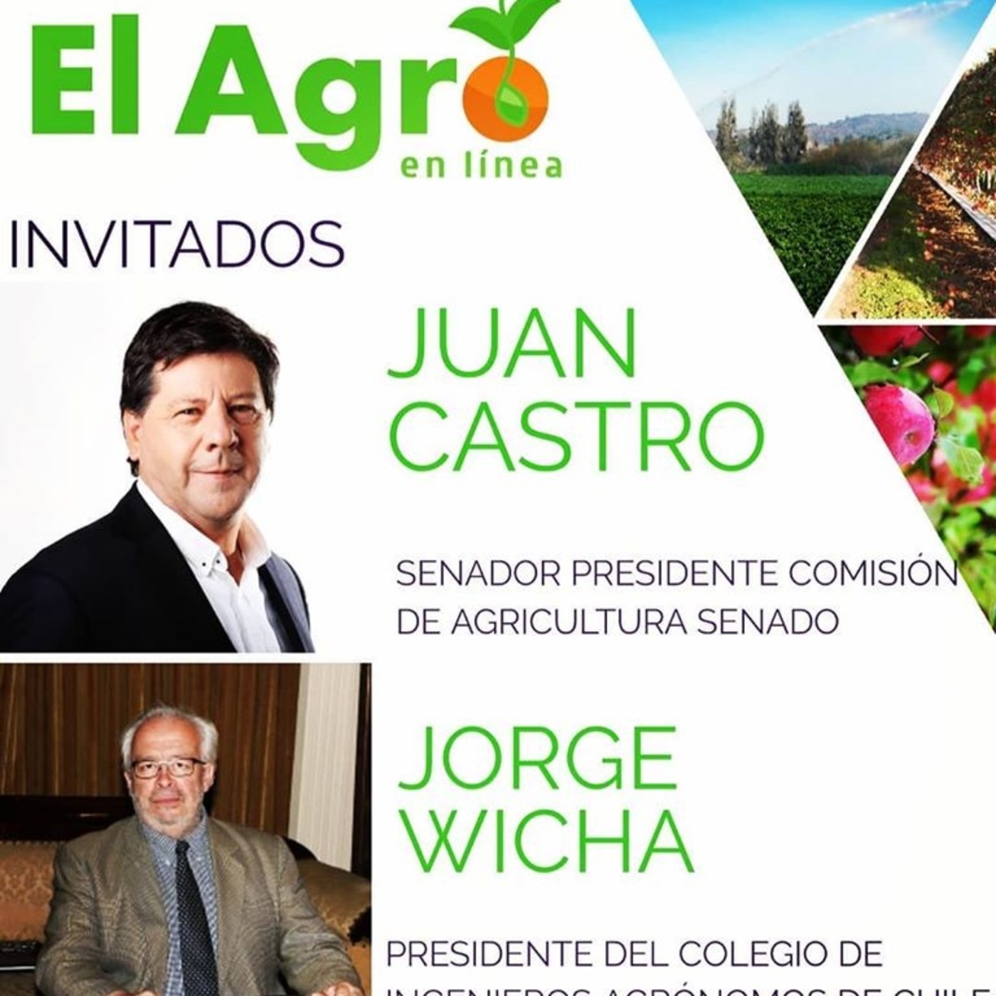 El Agro En Línea