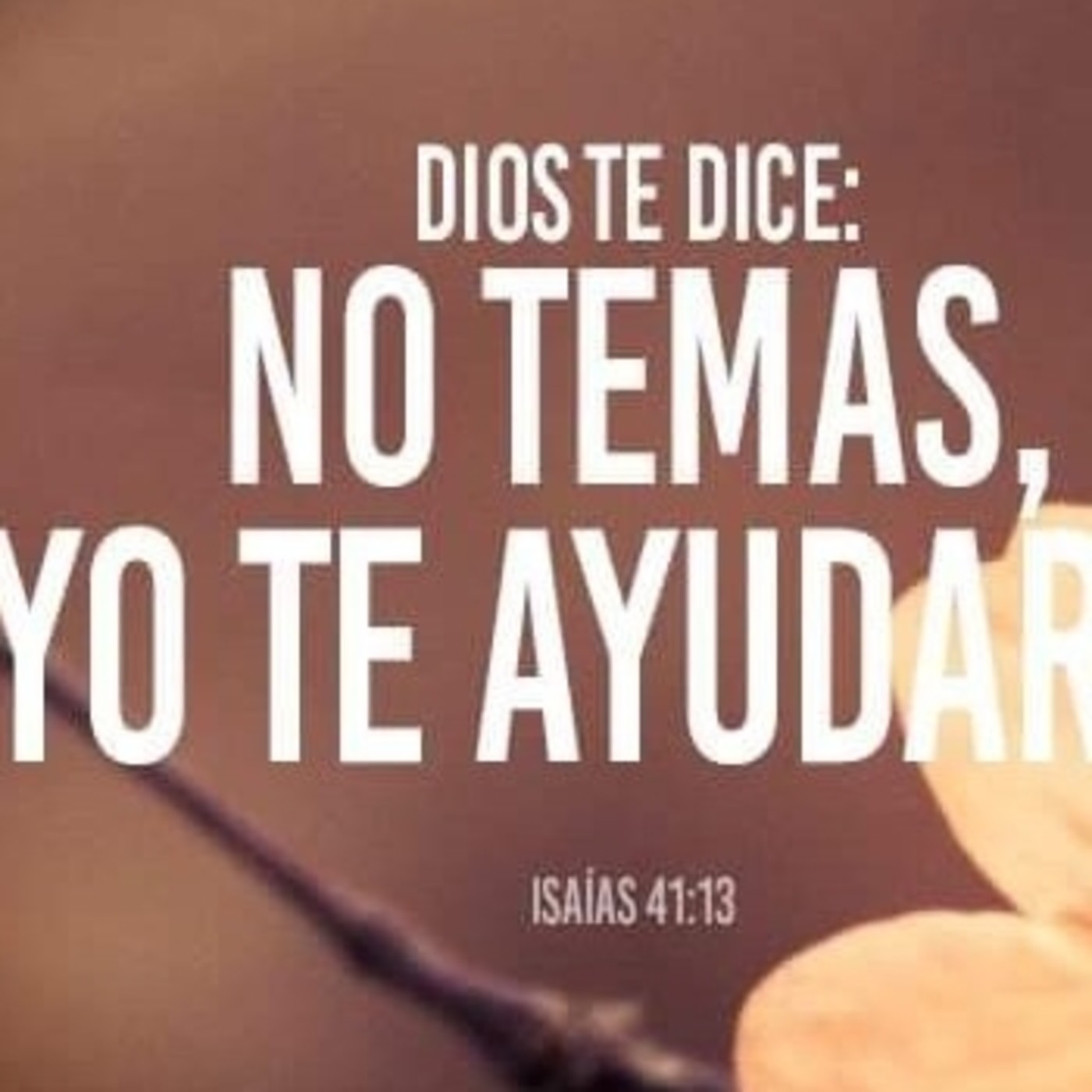 Lecturas del día