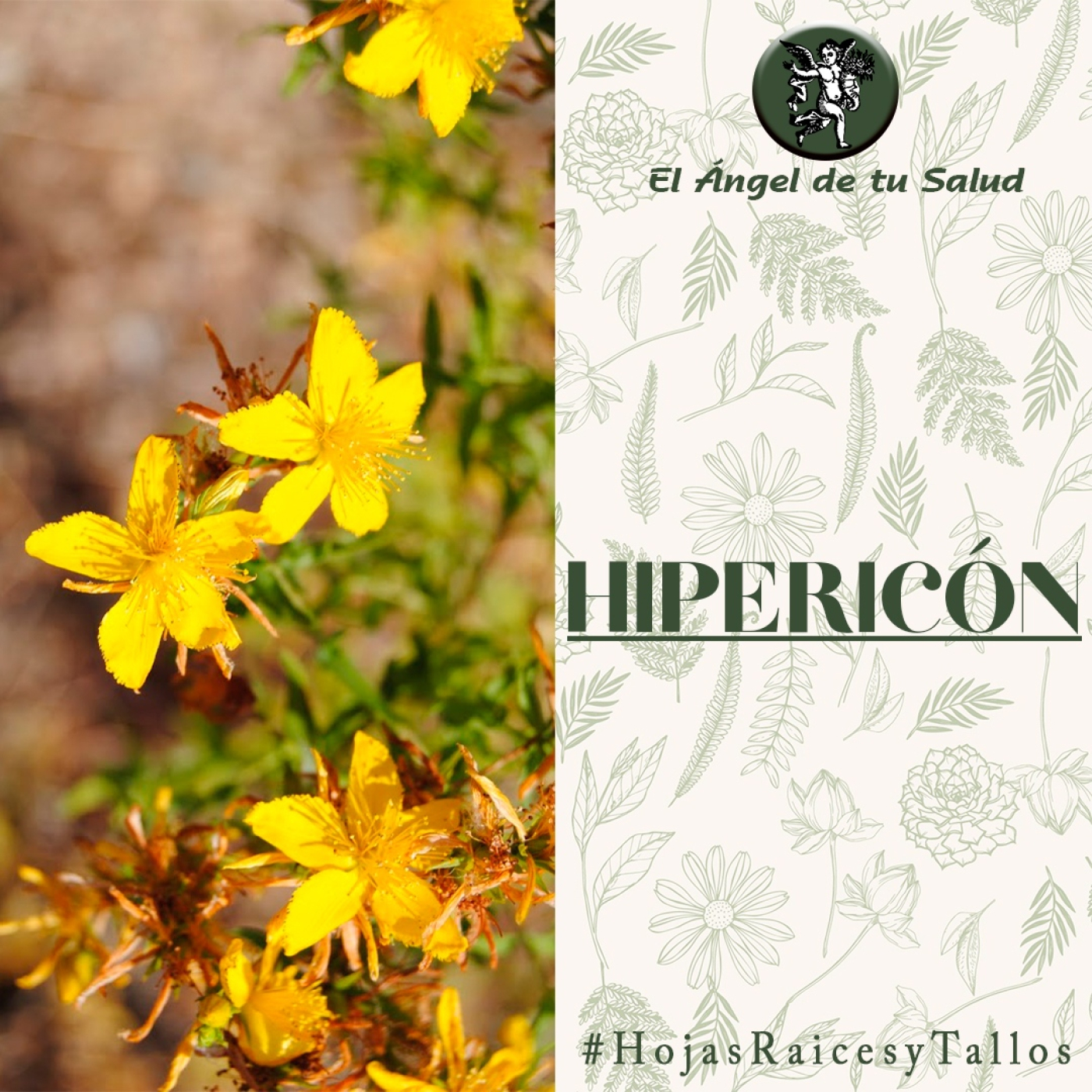 El Ángel de tu Salud - Hipericón** episode artwork