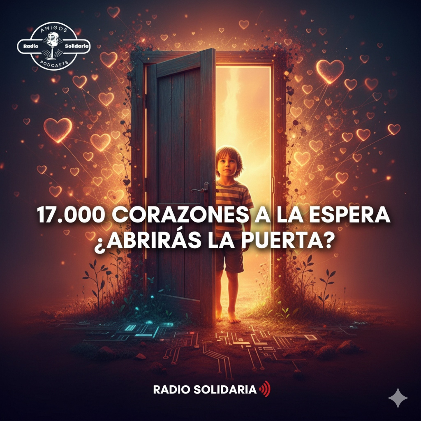 Amigos en Radio Solidaria