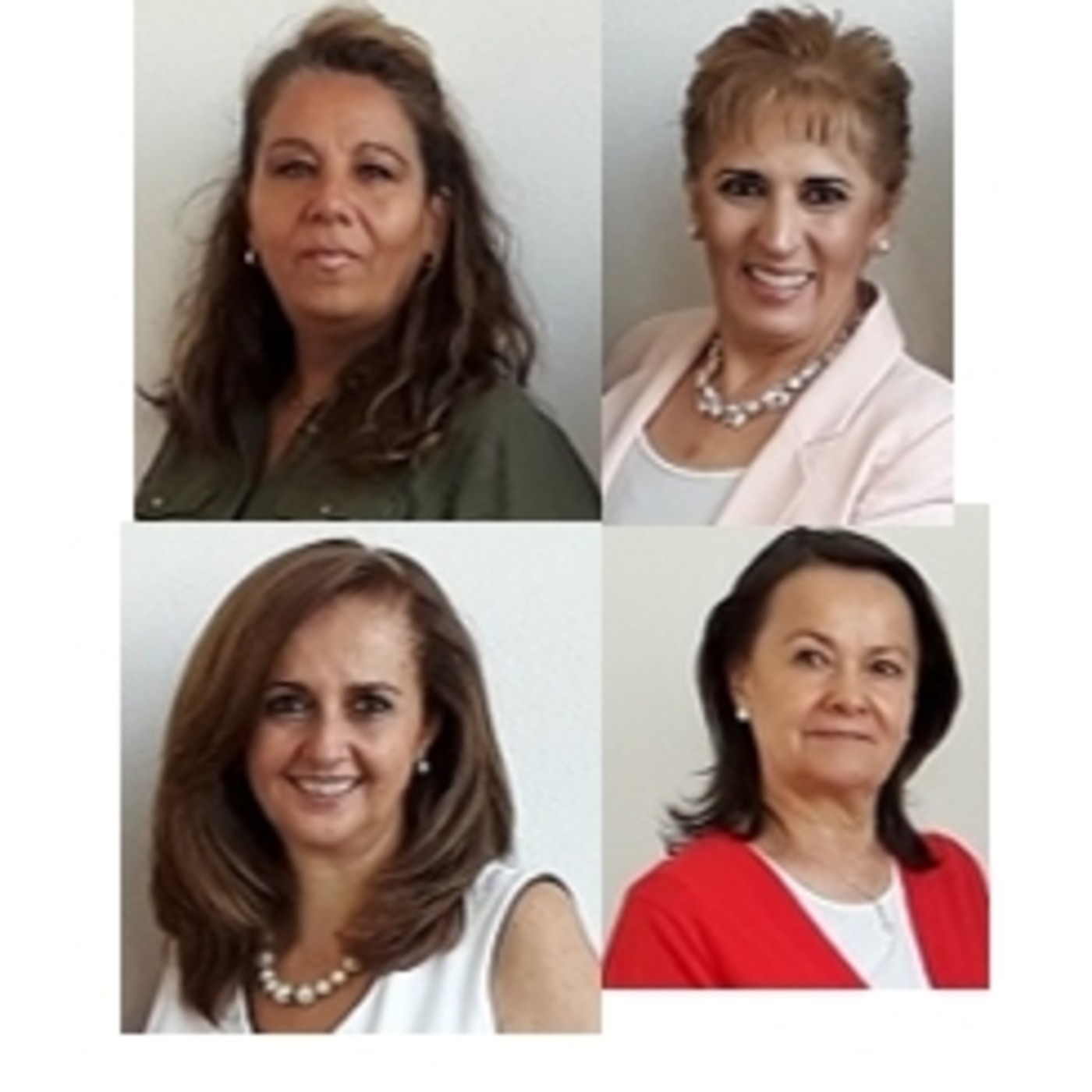 Difusión interpretación simultánea profesional