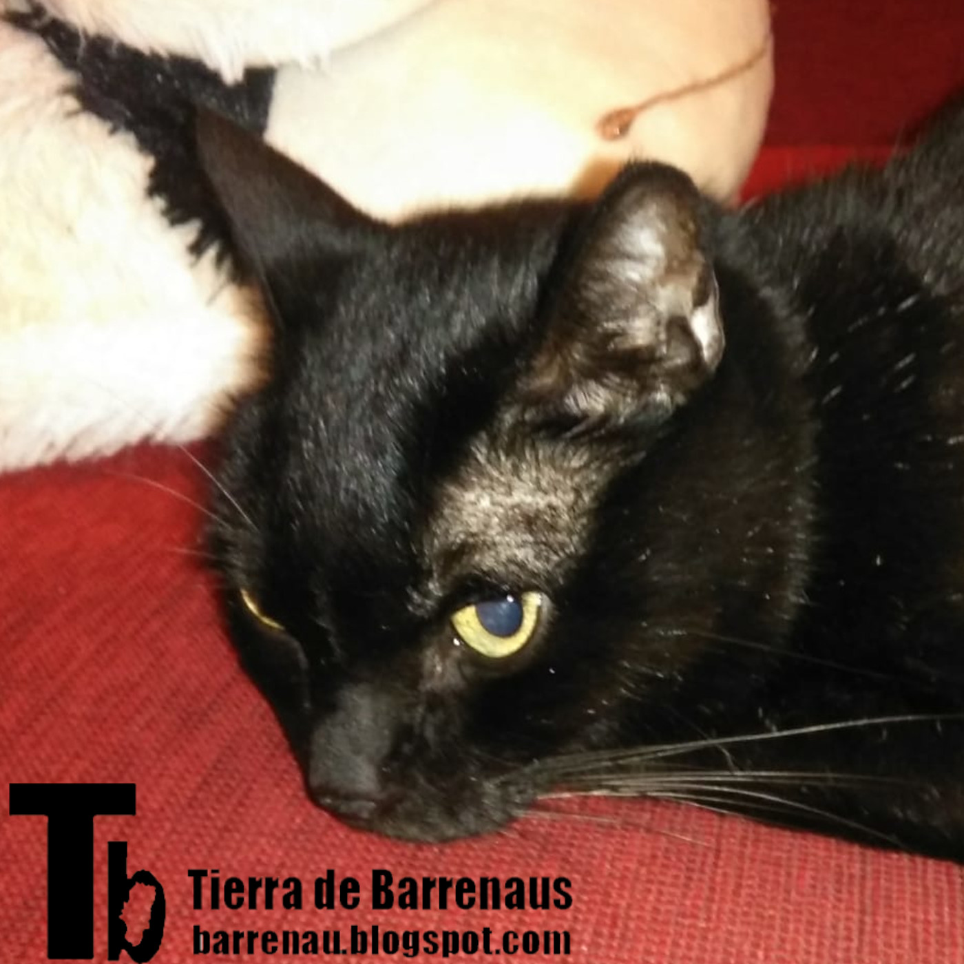 Tierra de varrenadas