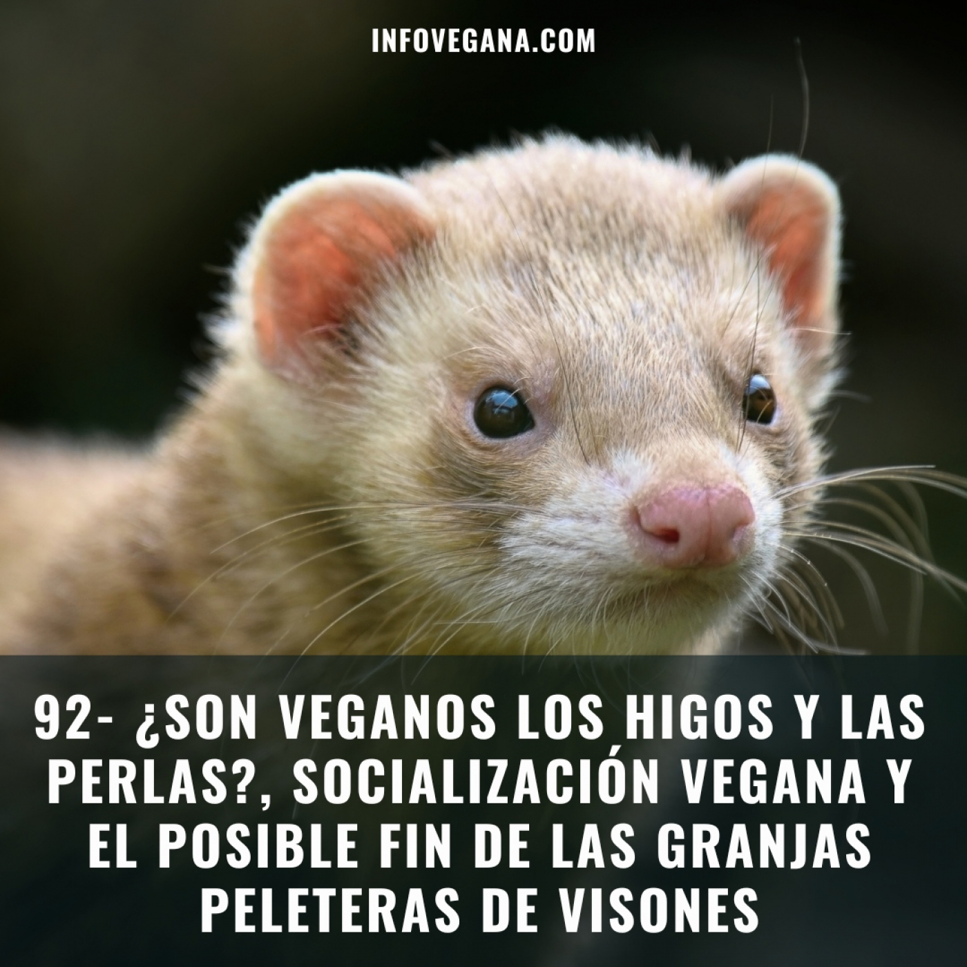 Infovegana, podcast de veganismo y sostenibilidad