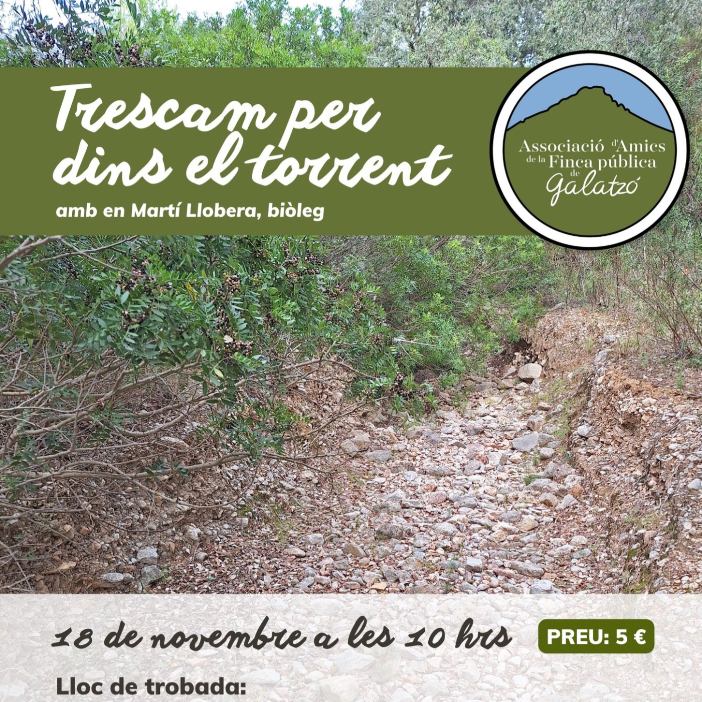 Informativo 17 de noviembre de 2023 episode artwork