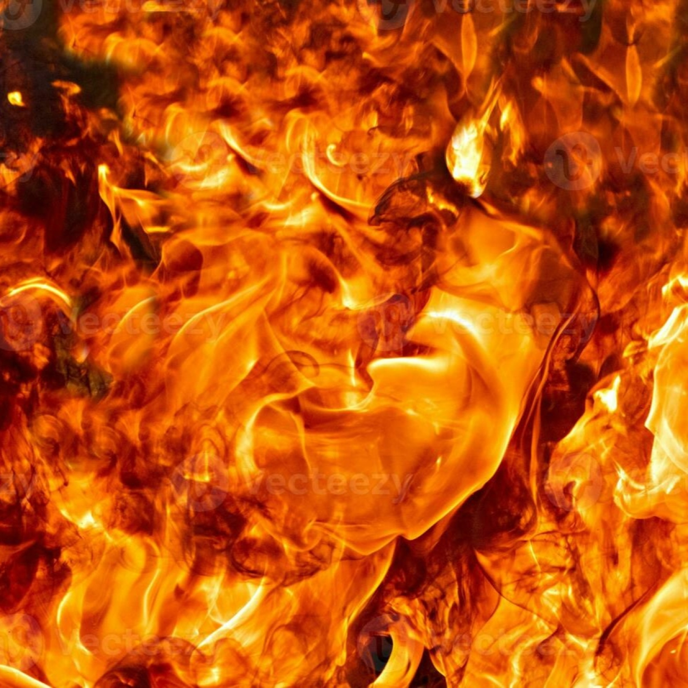 Daniel Seijas Palco de Estrelas