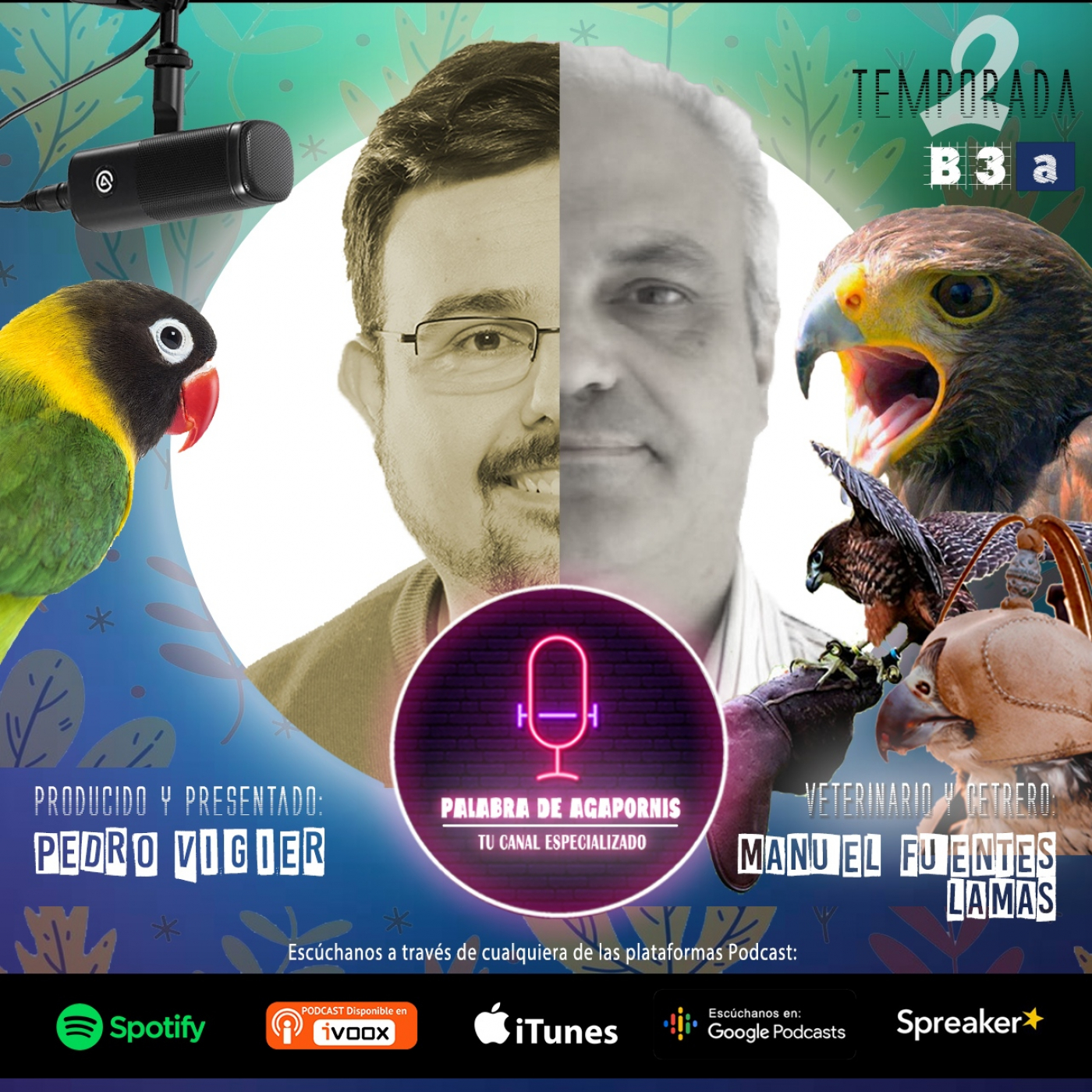 B3a La Cetrería, Una afición en el punto de mira. (Primera Parte)