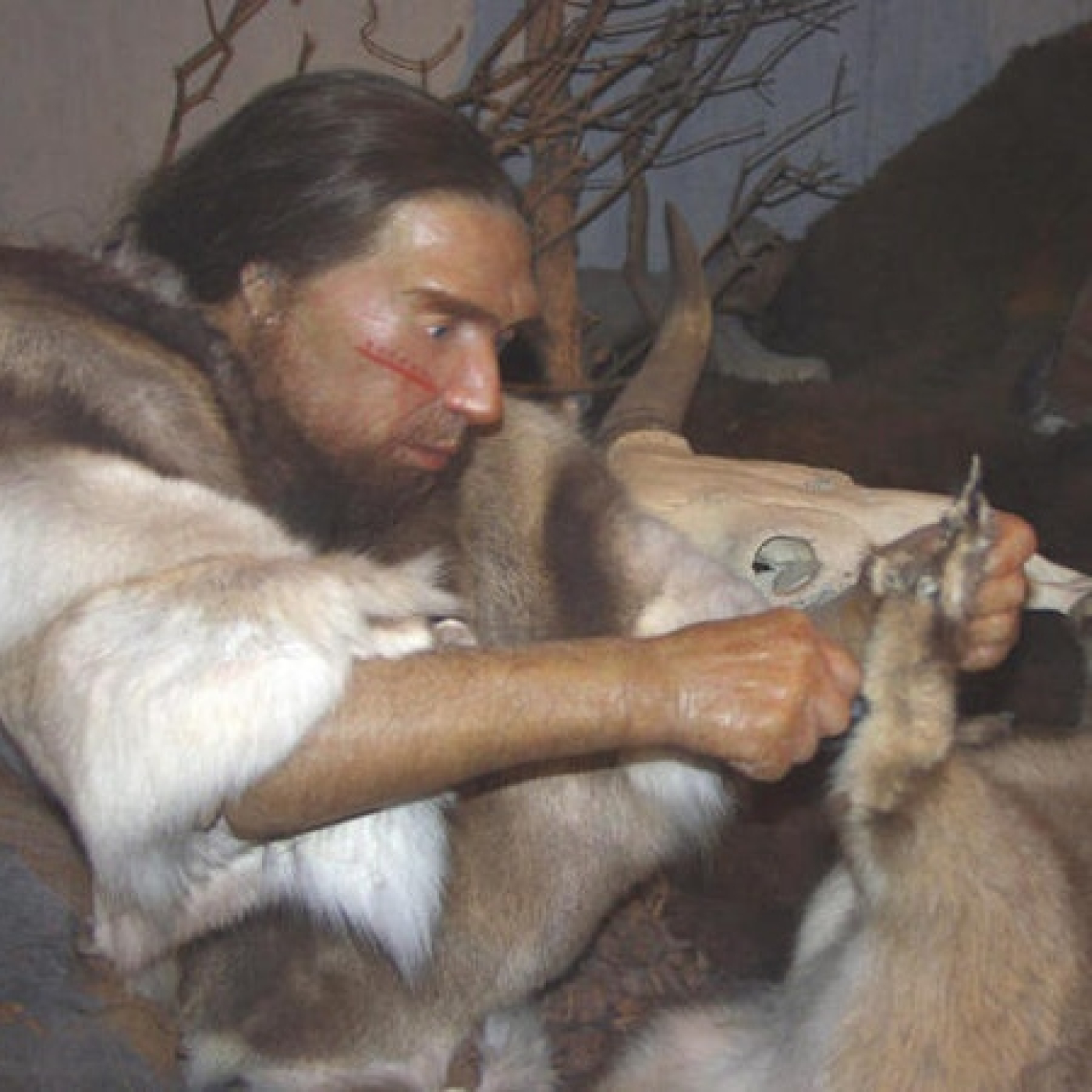CHEMA MUÑOZ