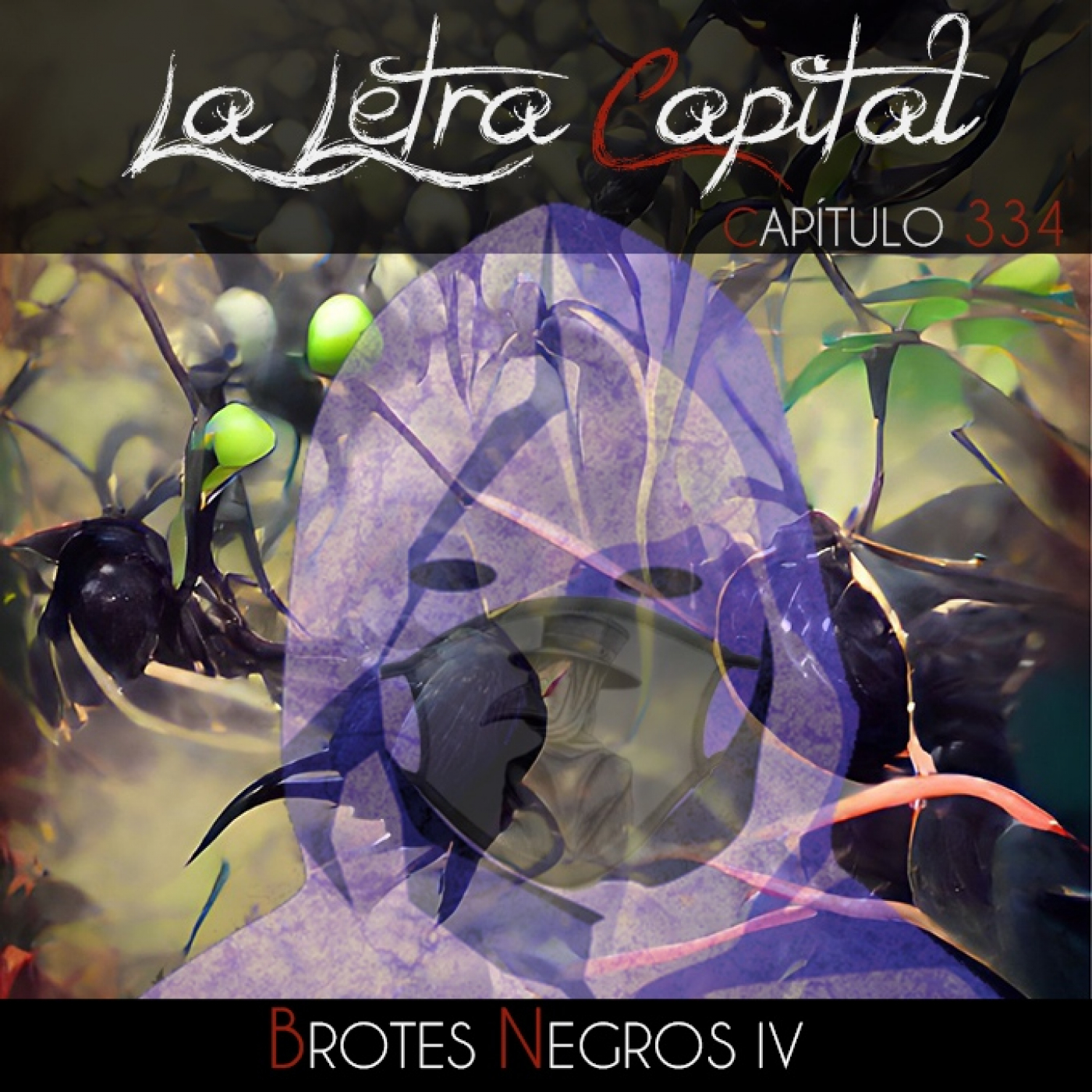 laletracapital podcast